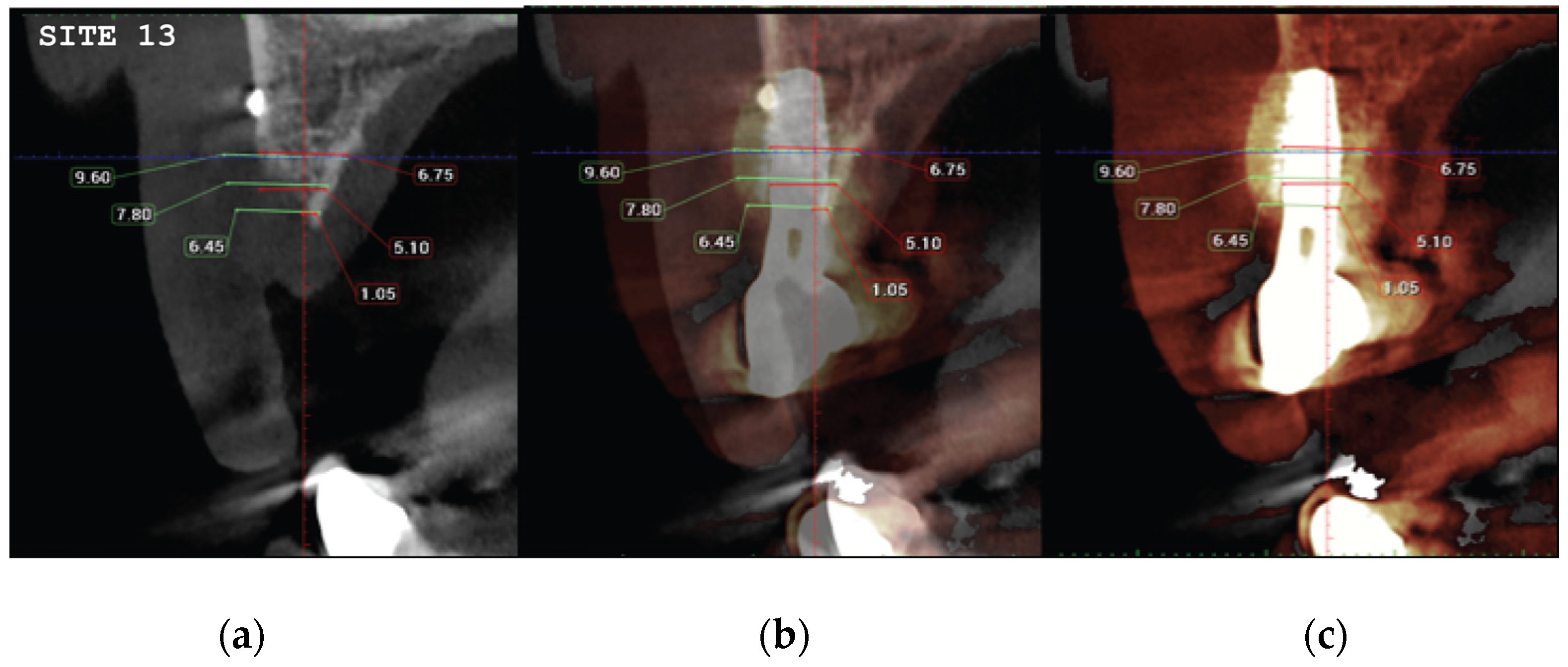 Medicina 59 01994 g021a Medicina 59 01994 g021a