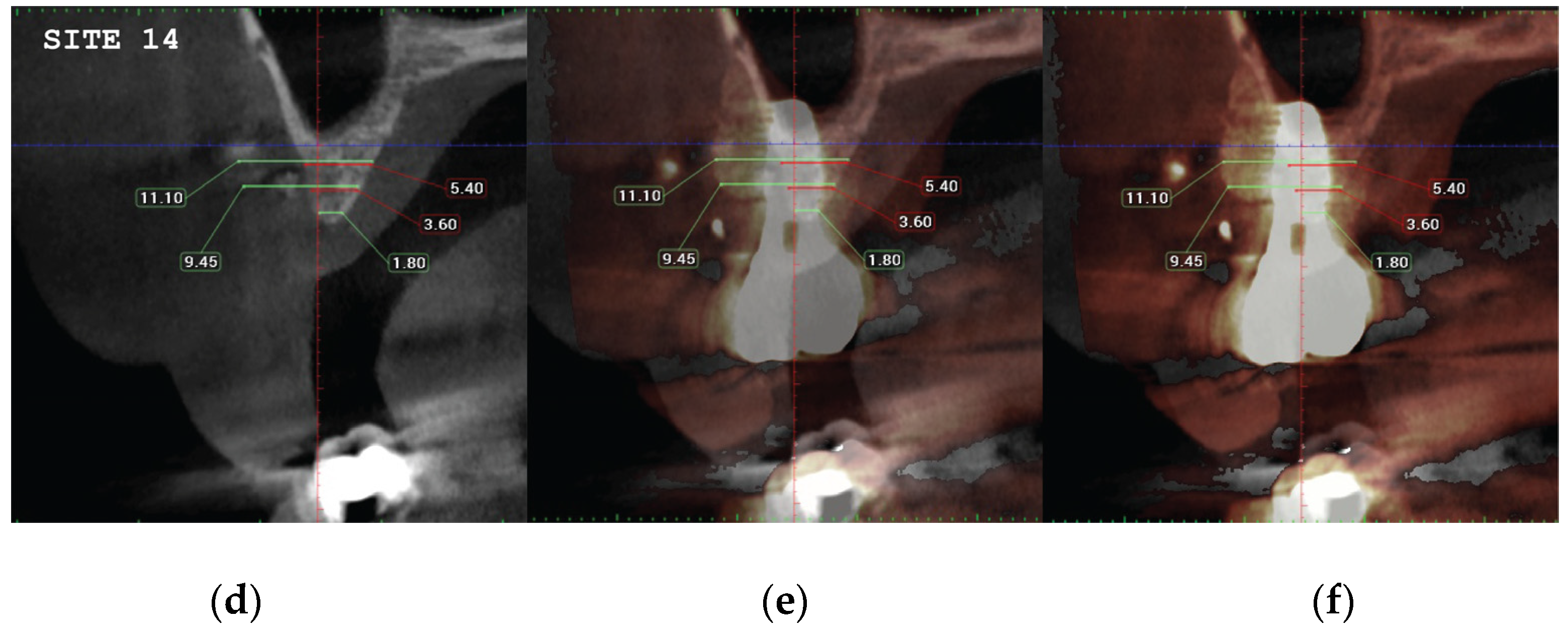 Medicina 59 01994 g021b Medicina 59 01994 g021b