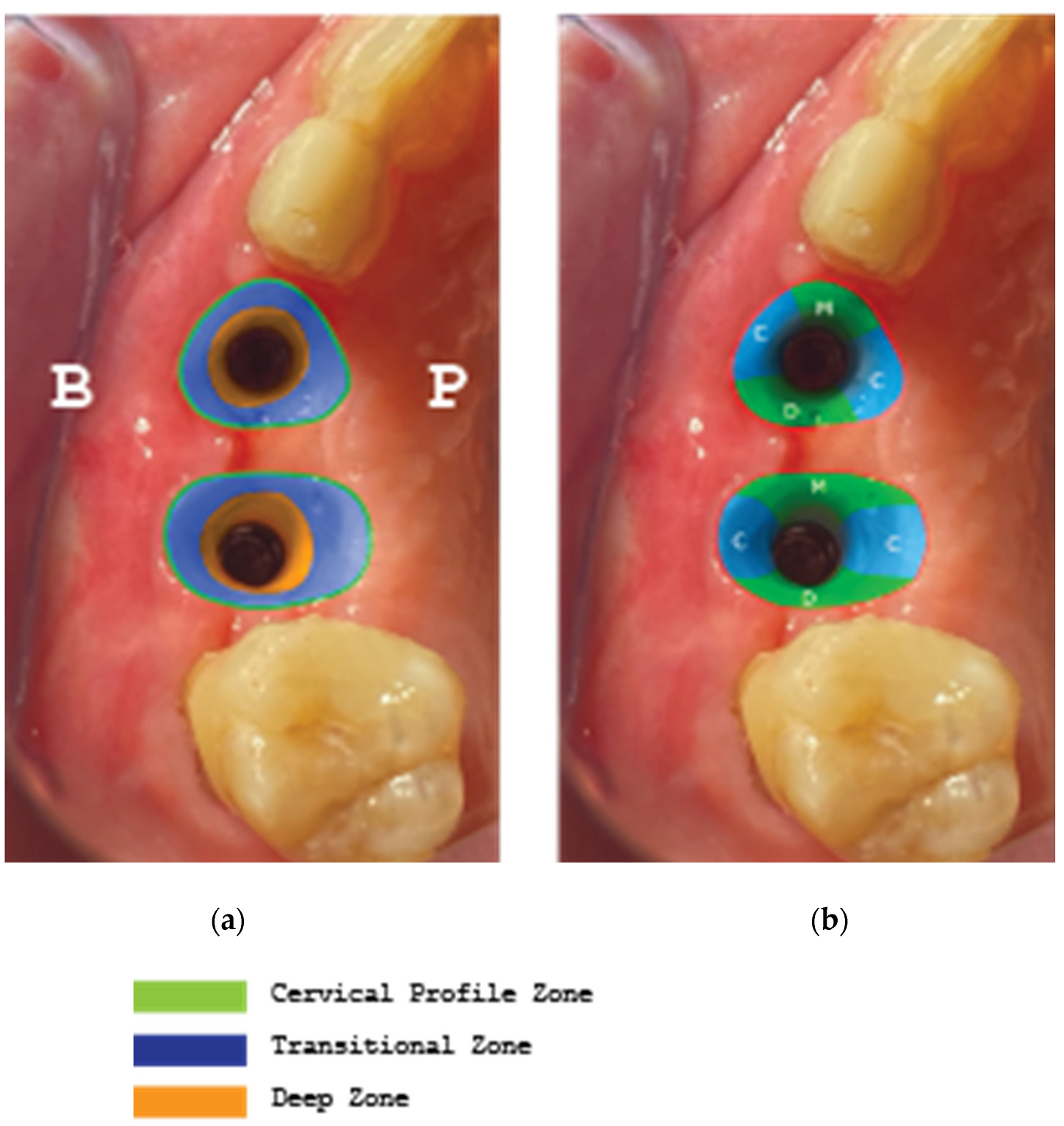 Medicina 59 01994 g026 Medicina 59 01994 g026