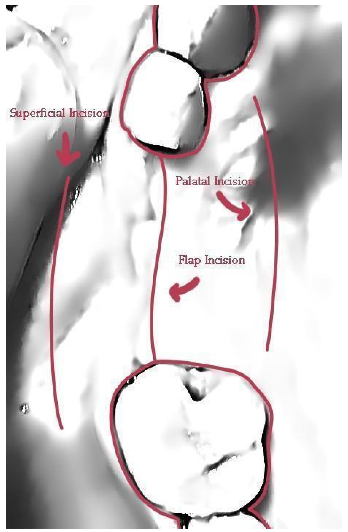 Medicina 59 01994 g029 Medicina 59 01994 g029
