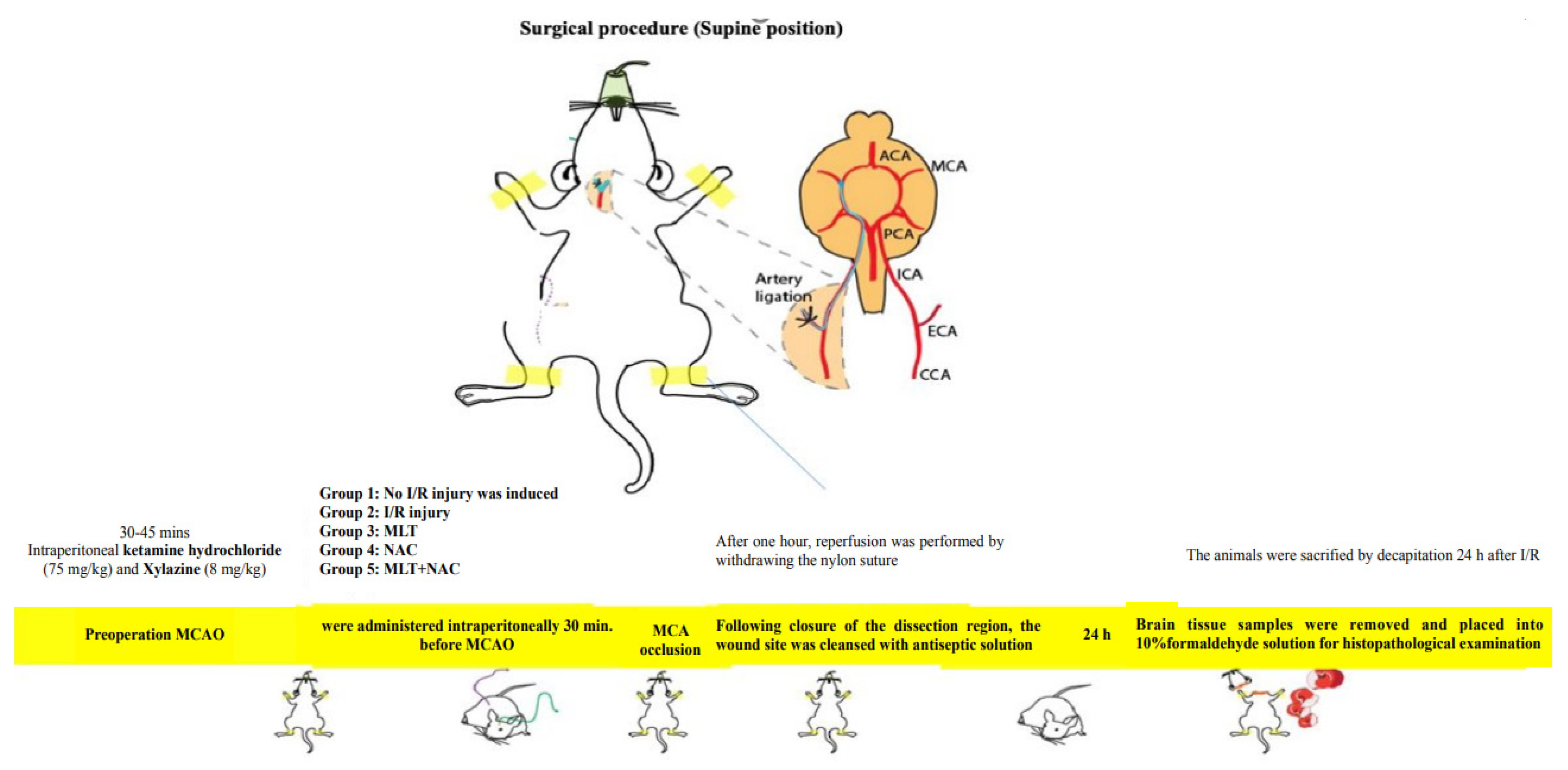 Medicina 59 02026 sch001