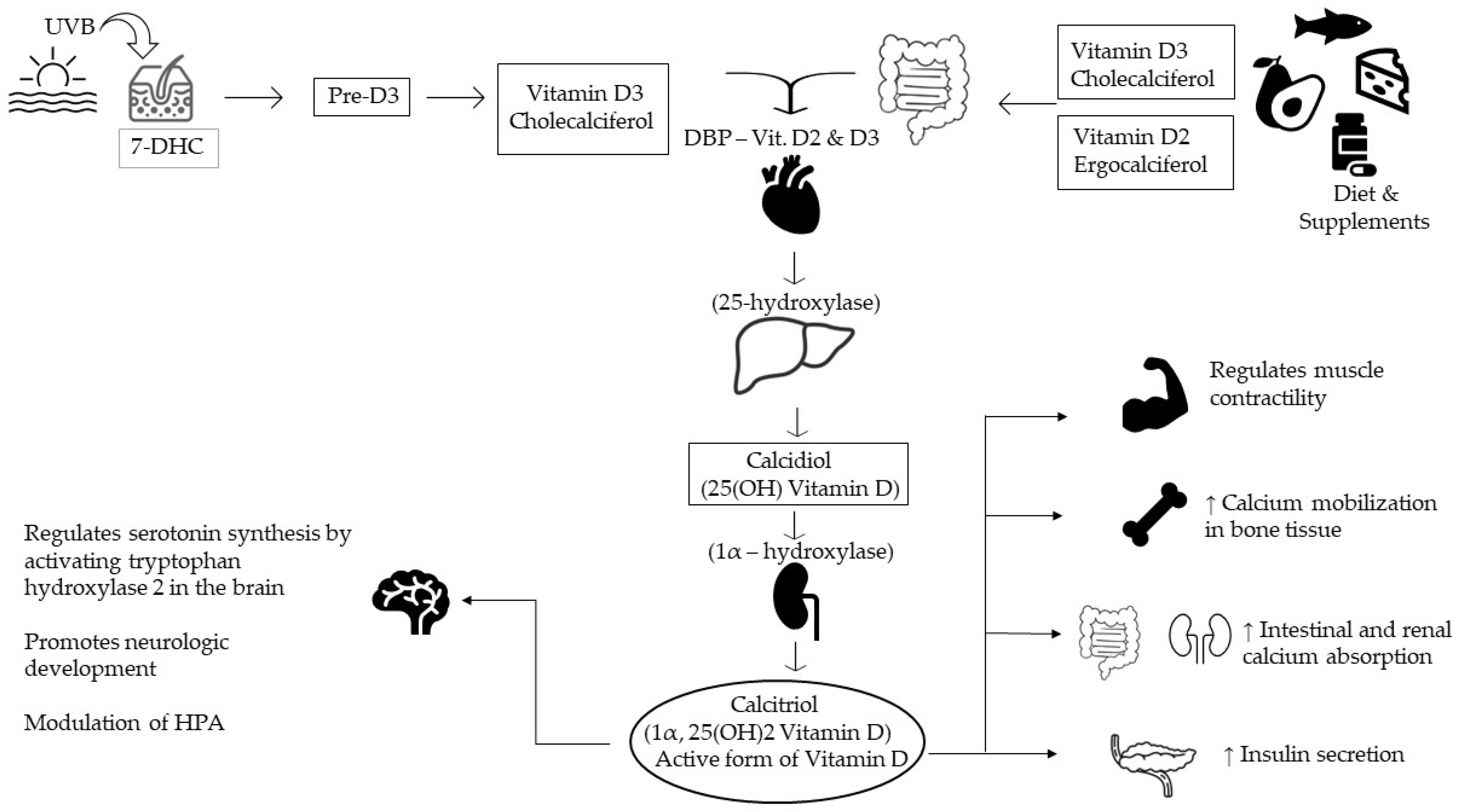 Medicina | Free Full-Text | Severe Vitamin D Deficiency&mdash;A Possible  Cause of Resistance to Treatment in Psychiatric Pathology