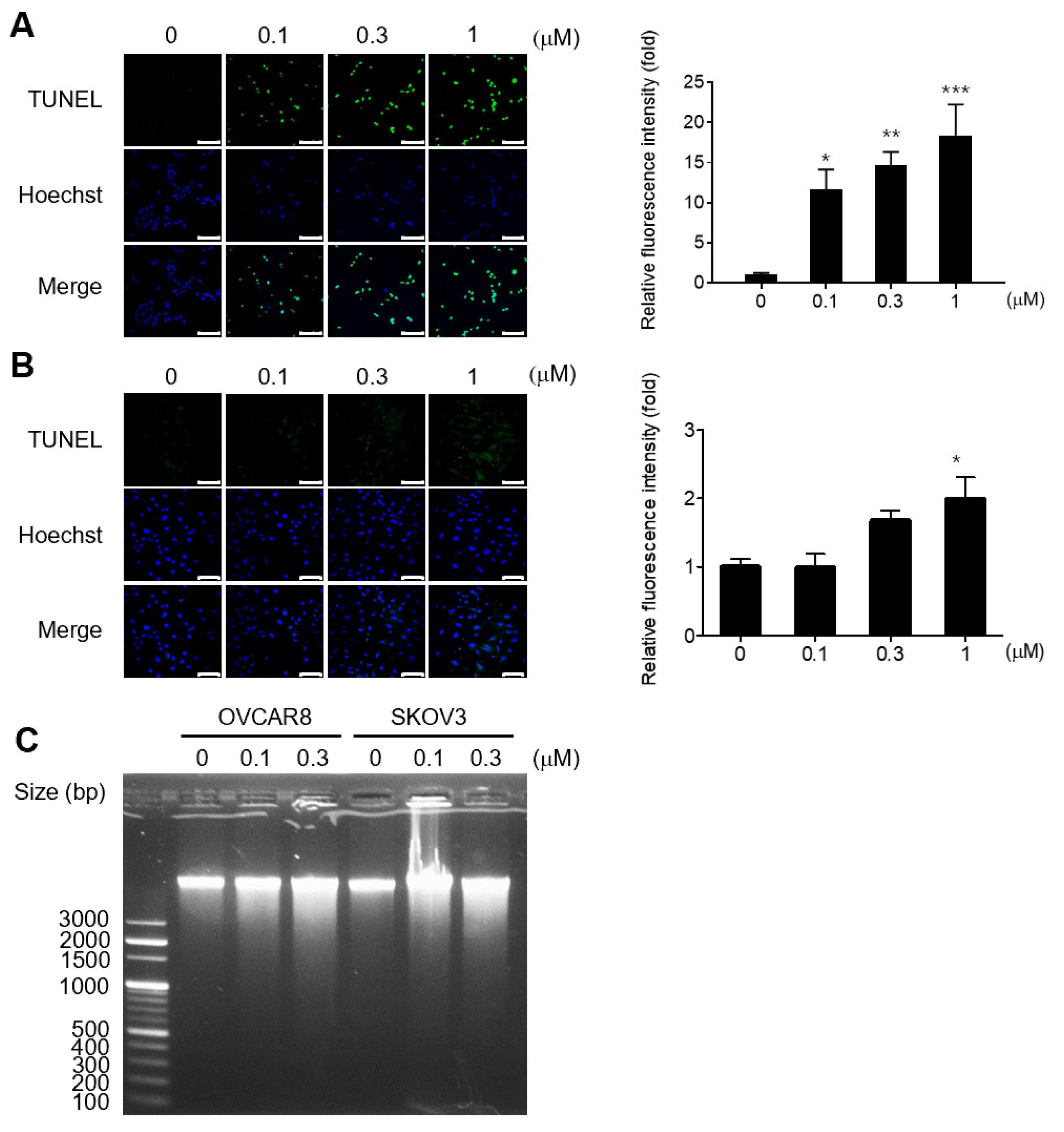 Medicina 59 02059 g002