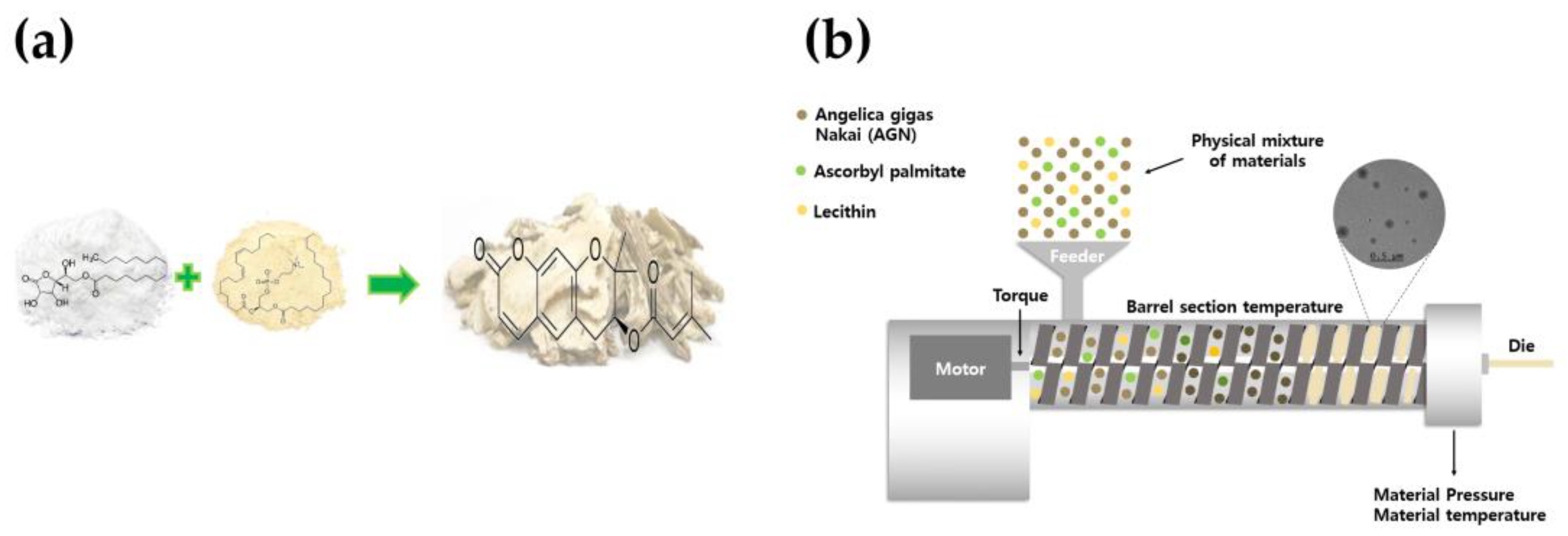 Medicina 59 02066 g001