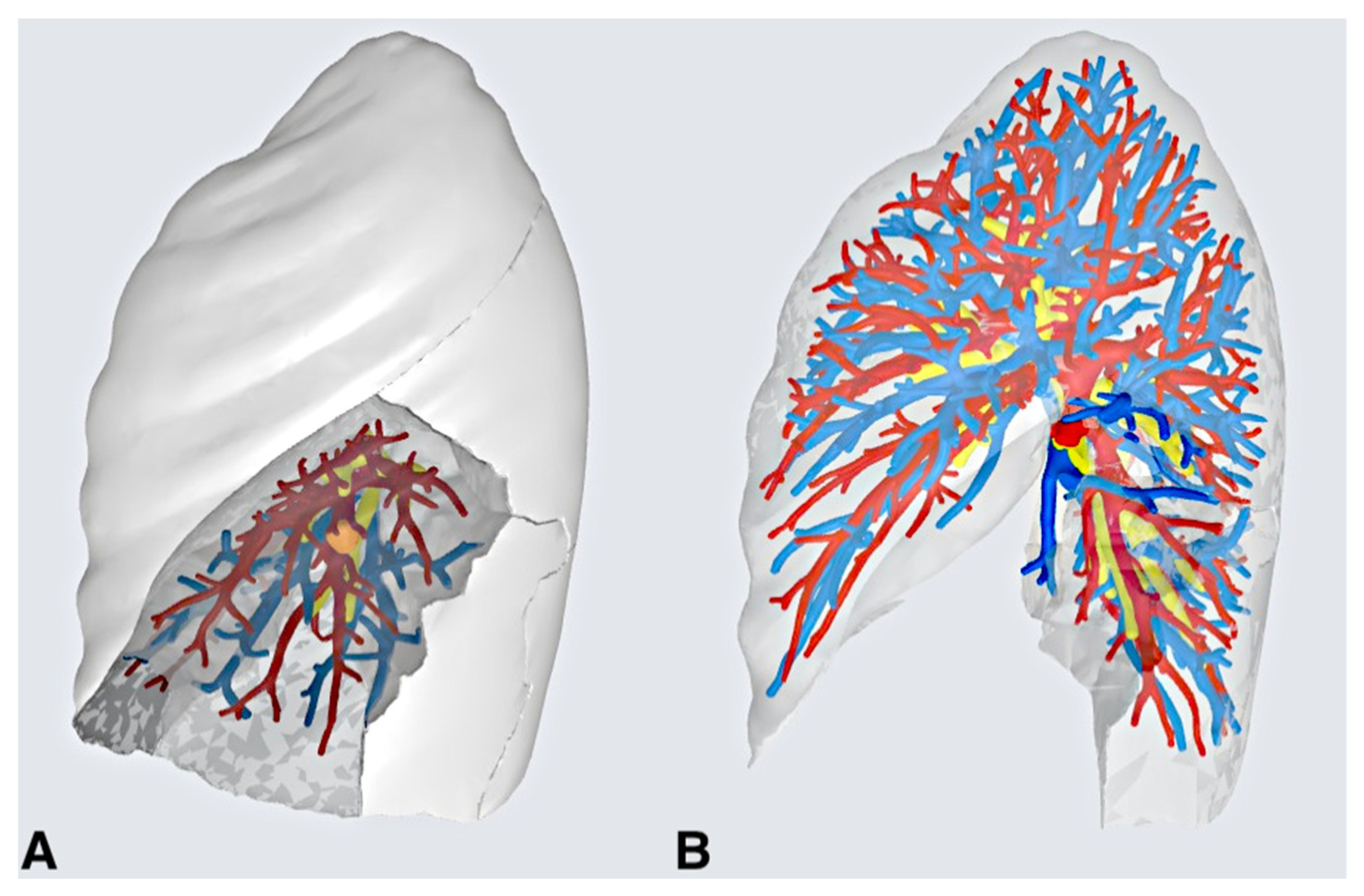 Medicina 59 02079 g002