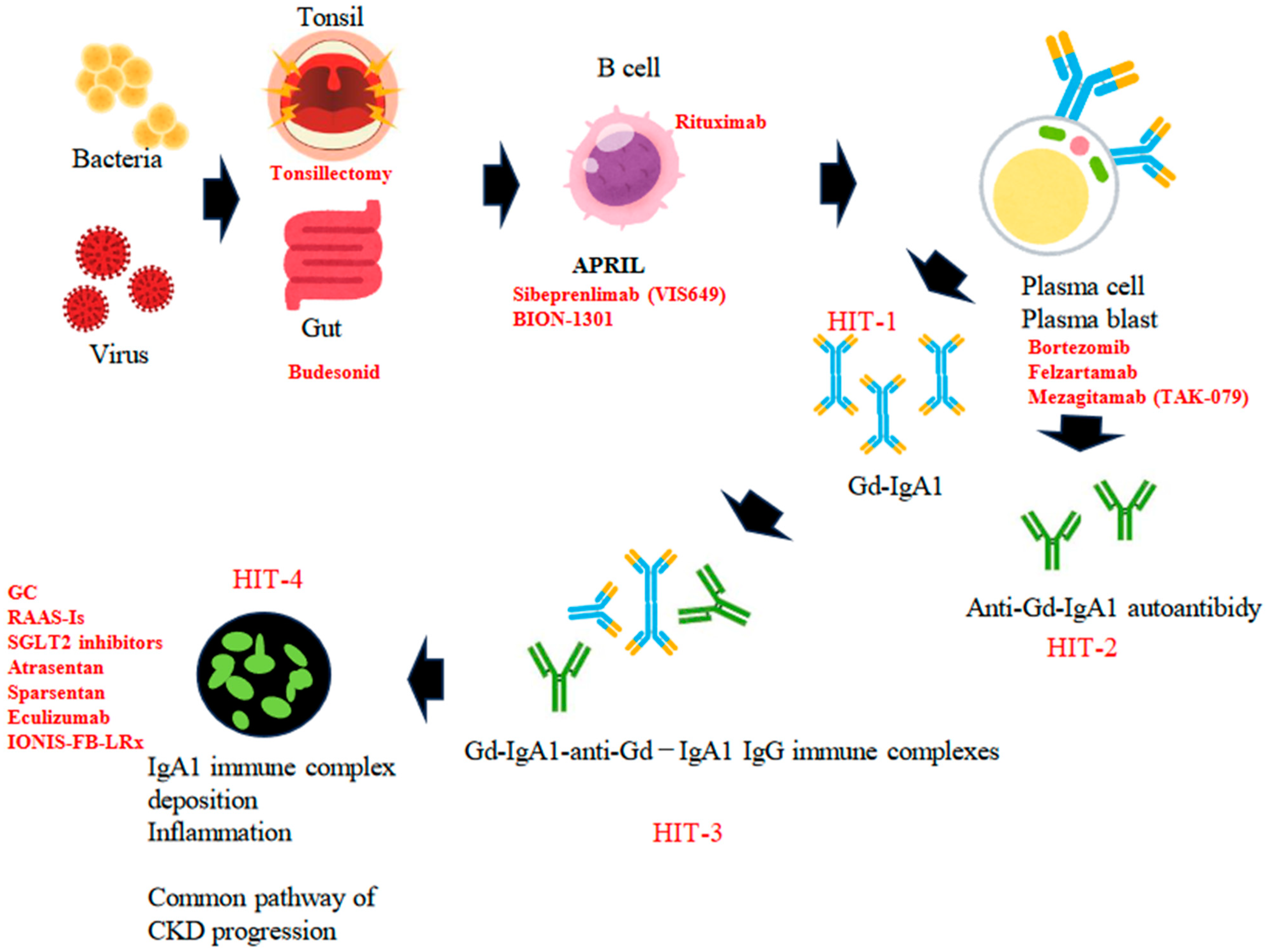 Medicina 60 00054 g001