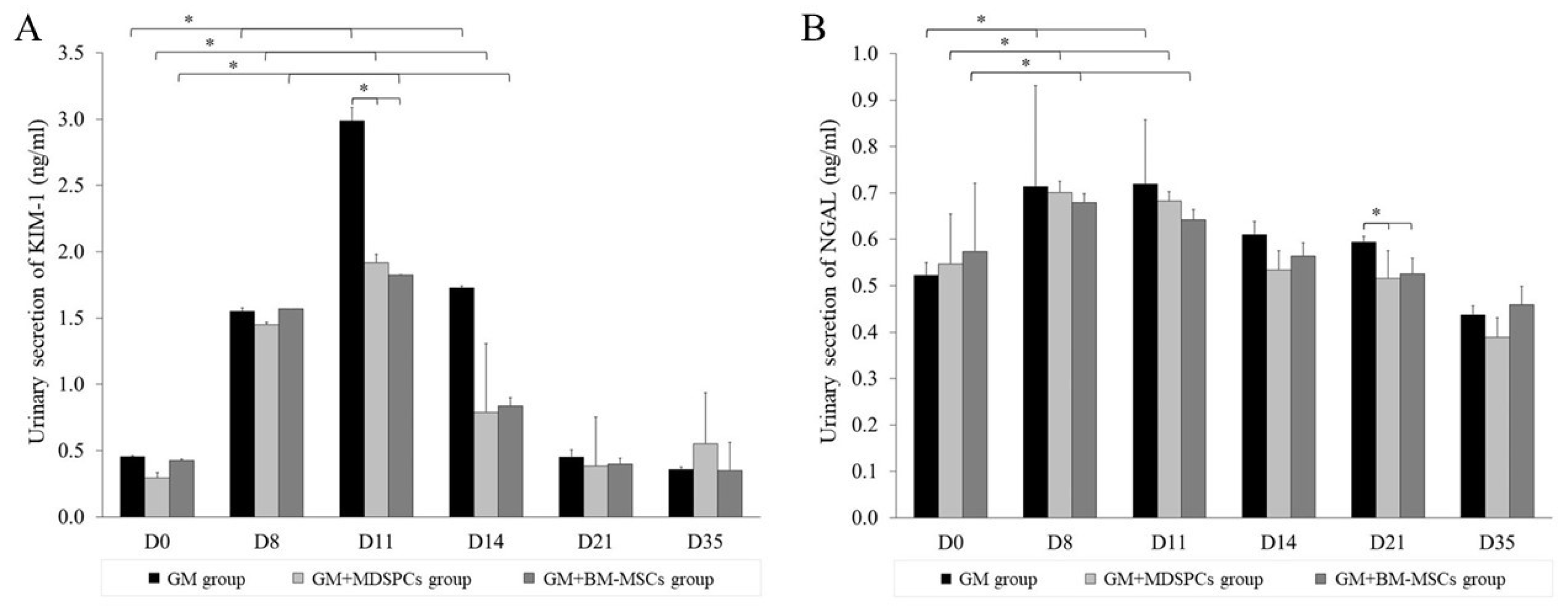 Medicina 60 00063 g003
