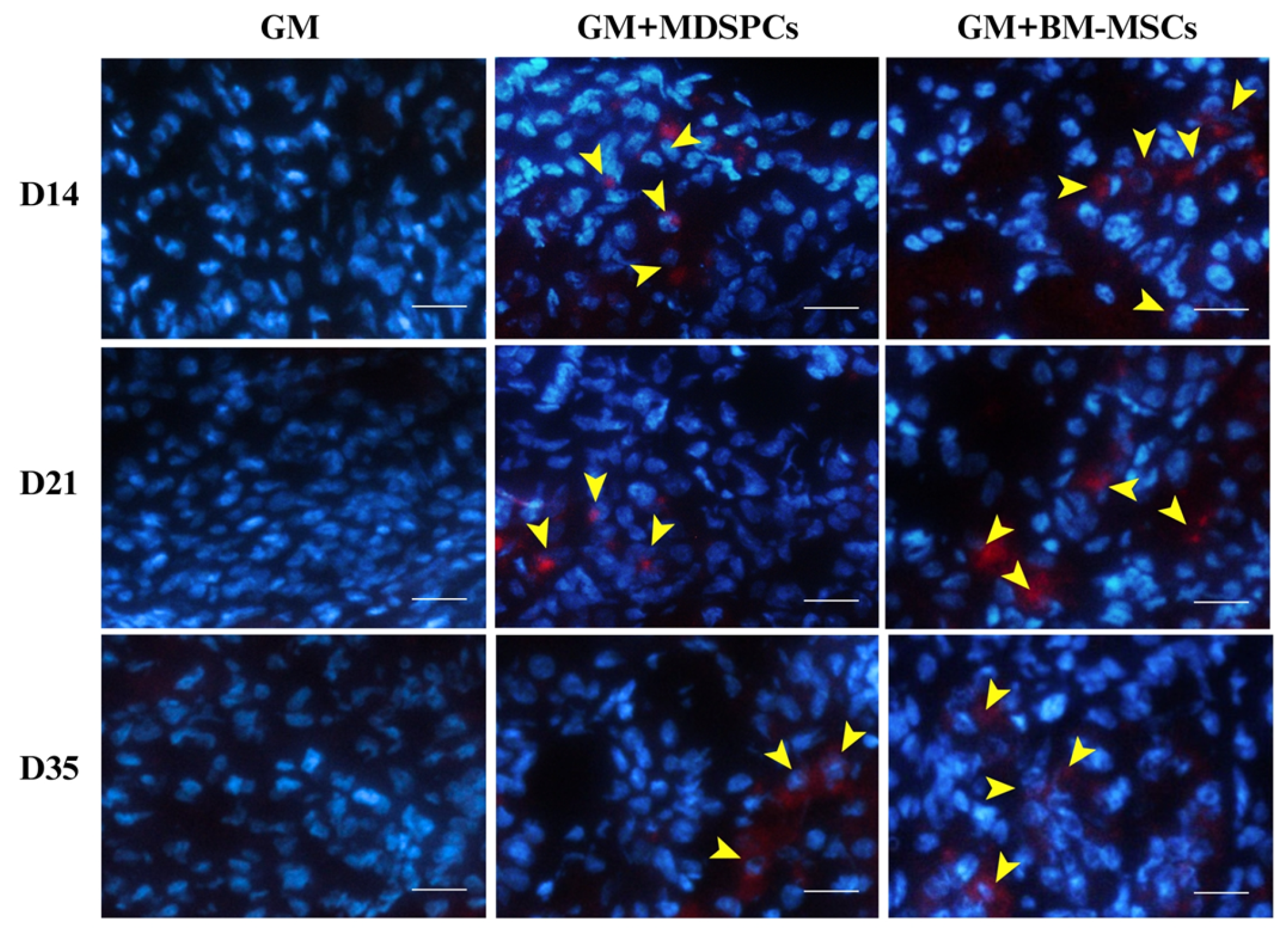 Medicina 60 00063 g006
