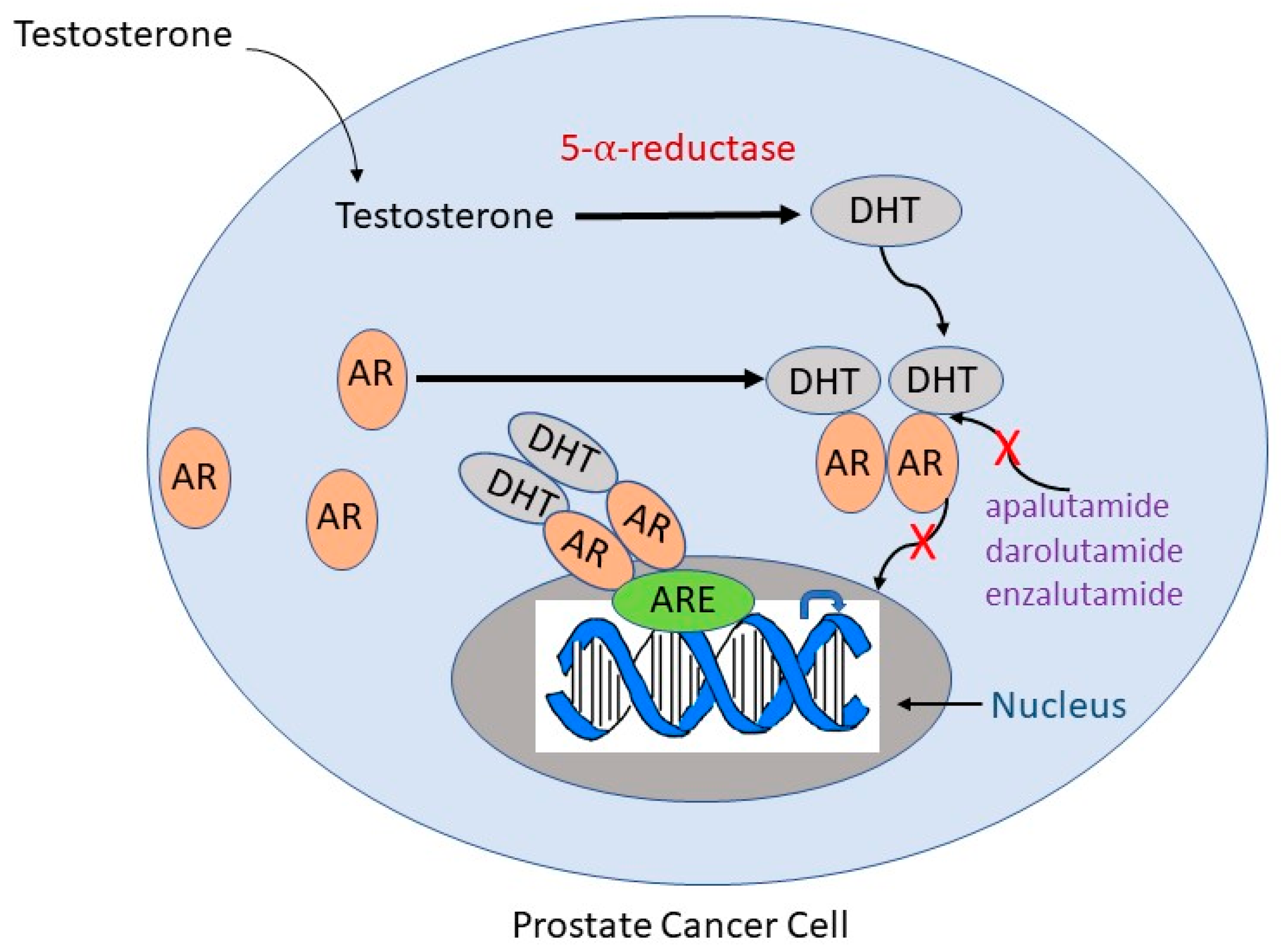 Medicina 60 00077 g001