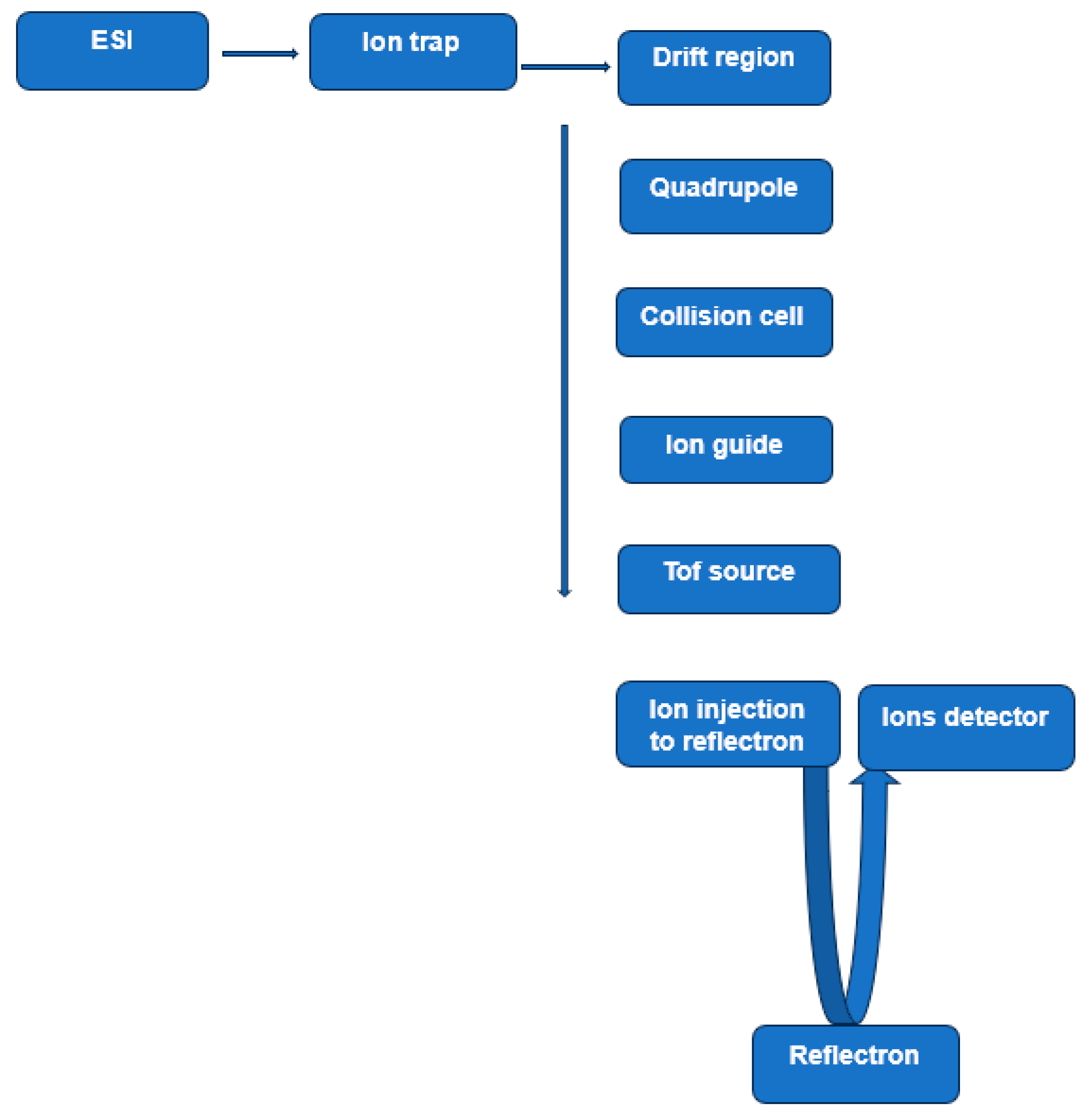 Medicina 60 00200 g002