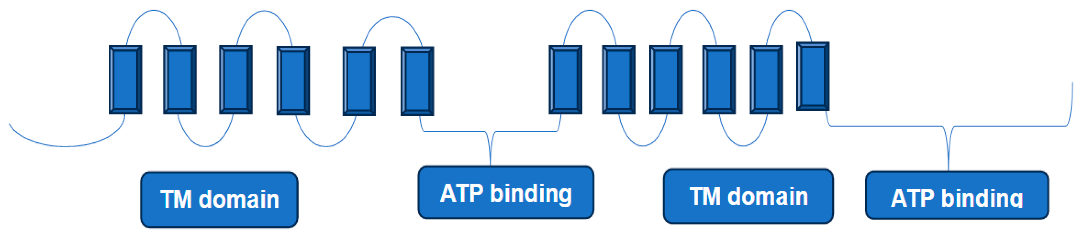 Medicina 60 00200 g003