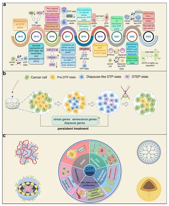 Medicina | Free Full-Text | Diapause-like Drug-Tolerant Persister 