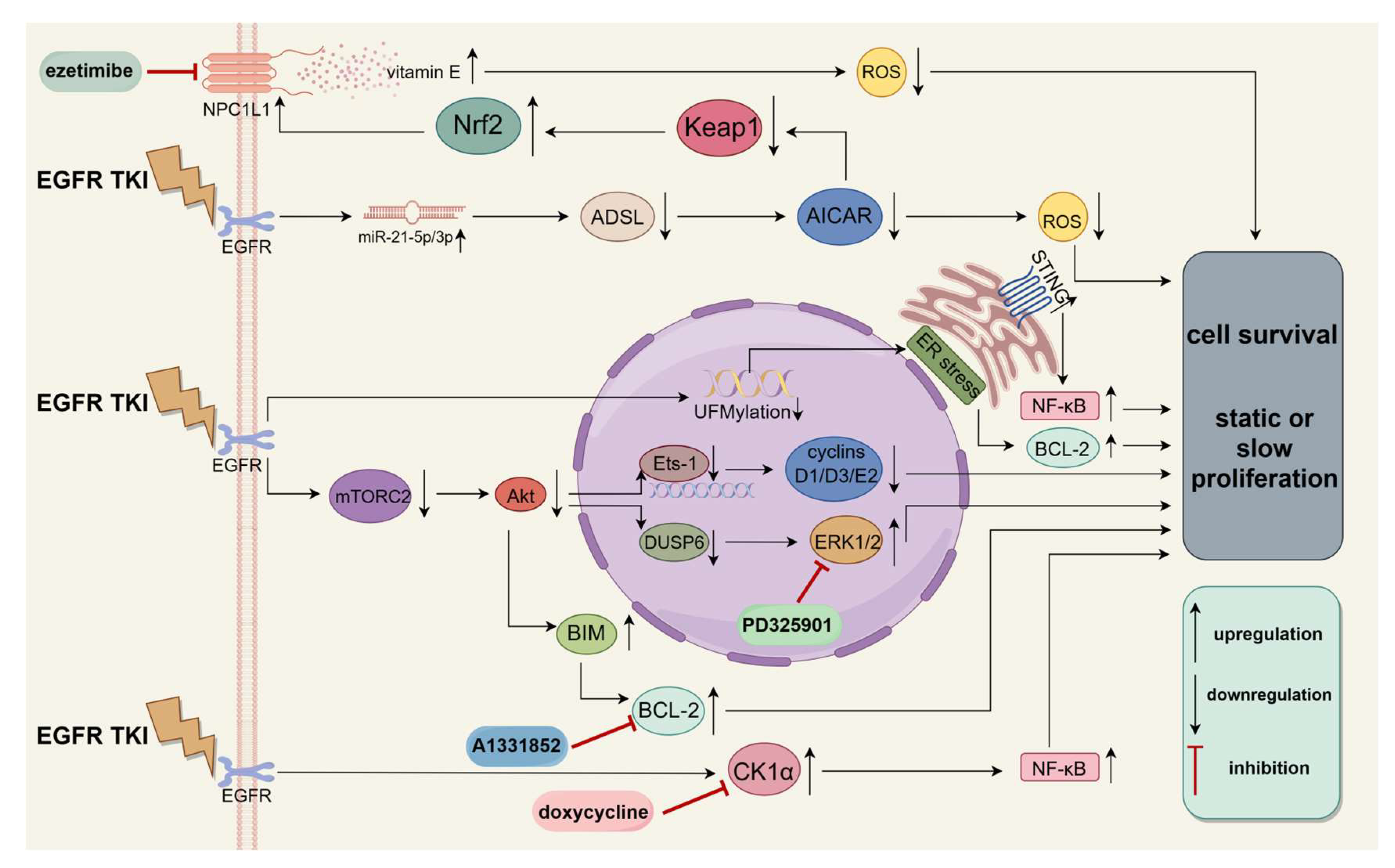 Medicina 60 00228 g003