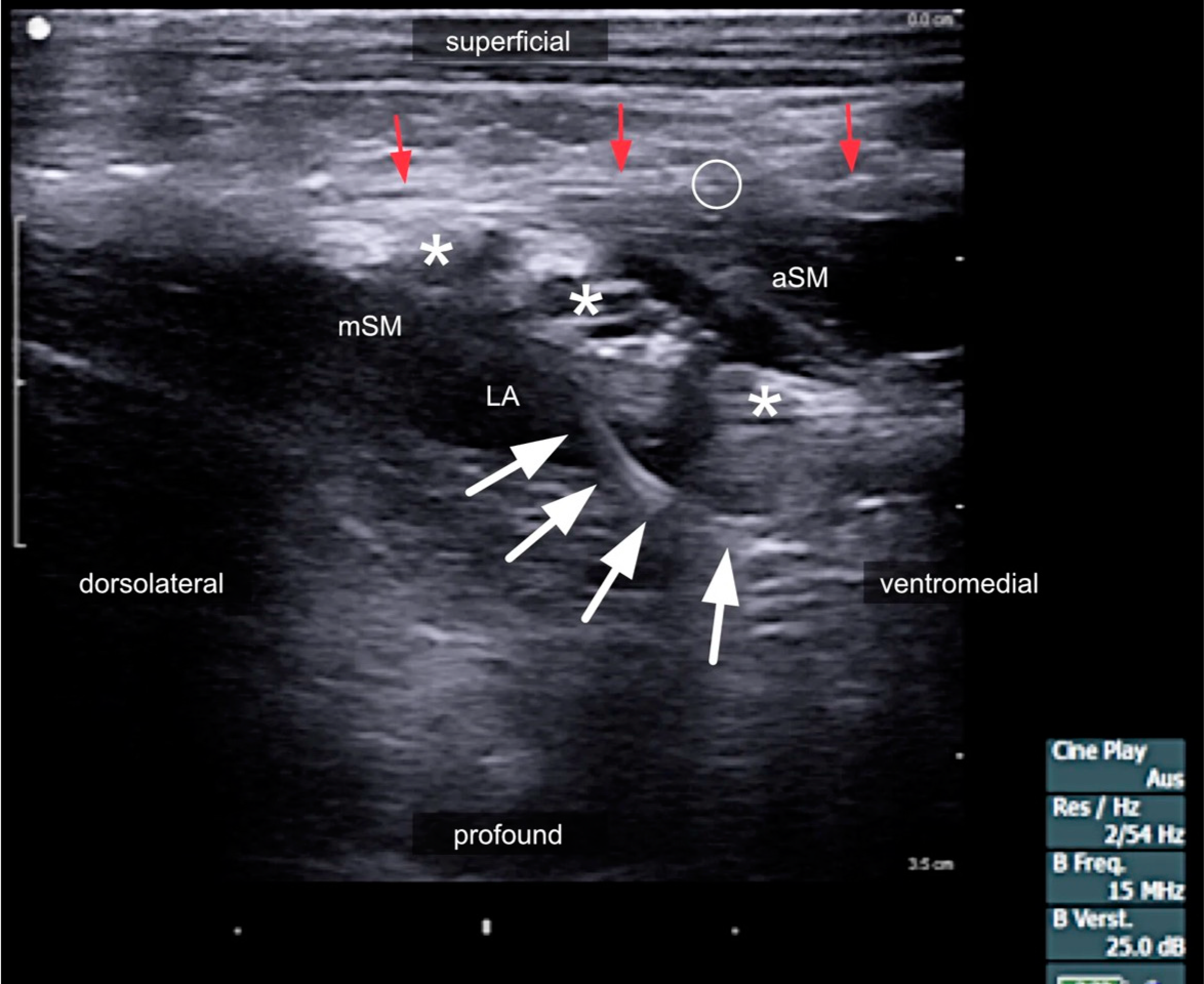 Medicina 60 00233 g009