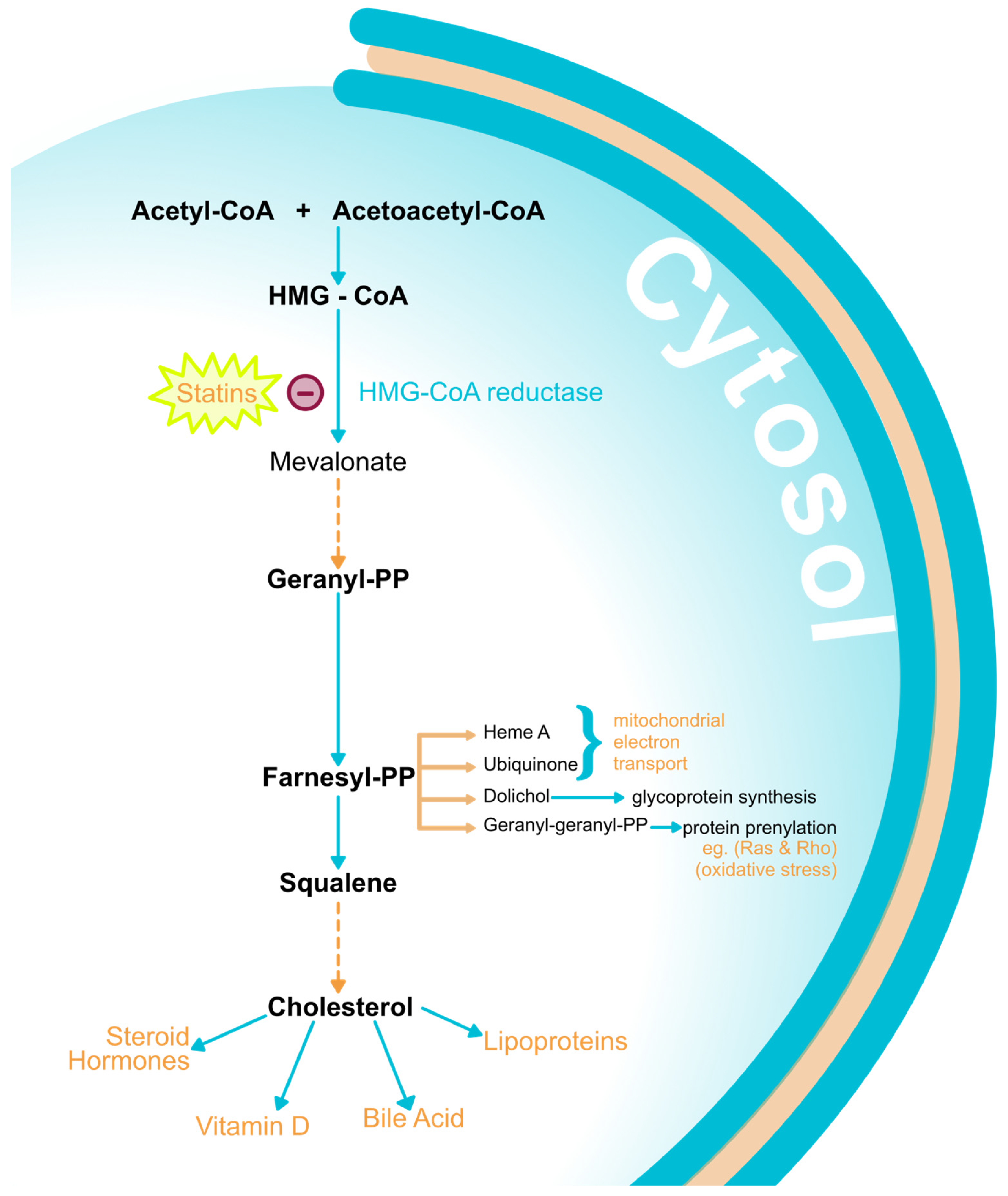 Medicina 60 00244 g002