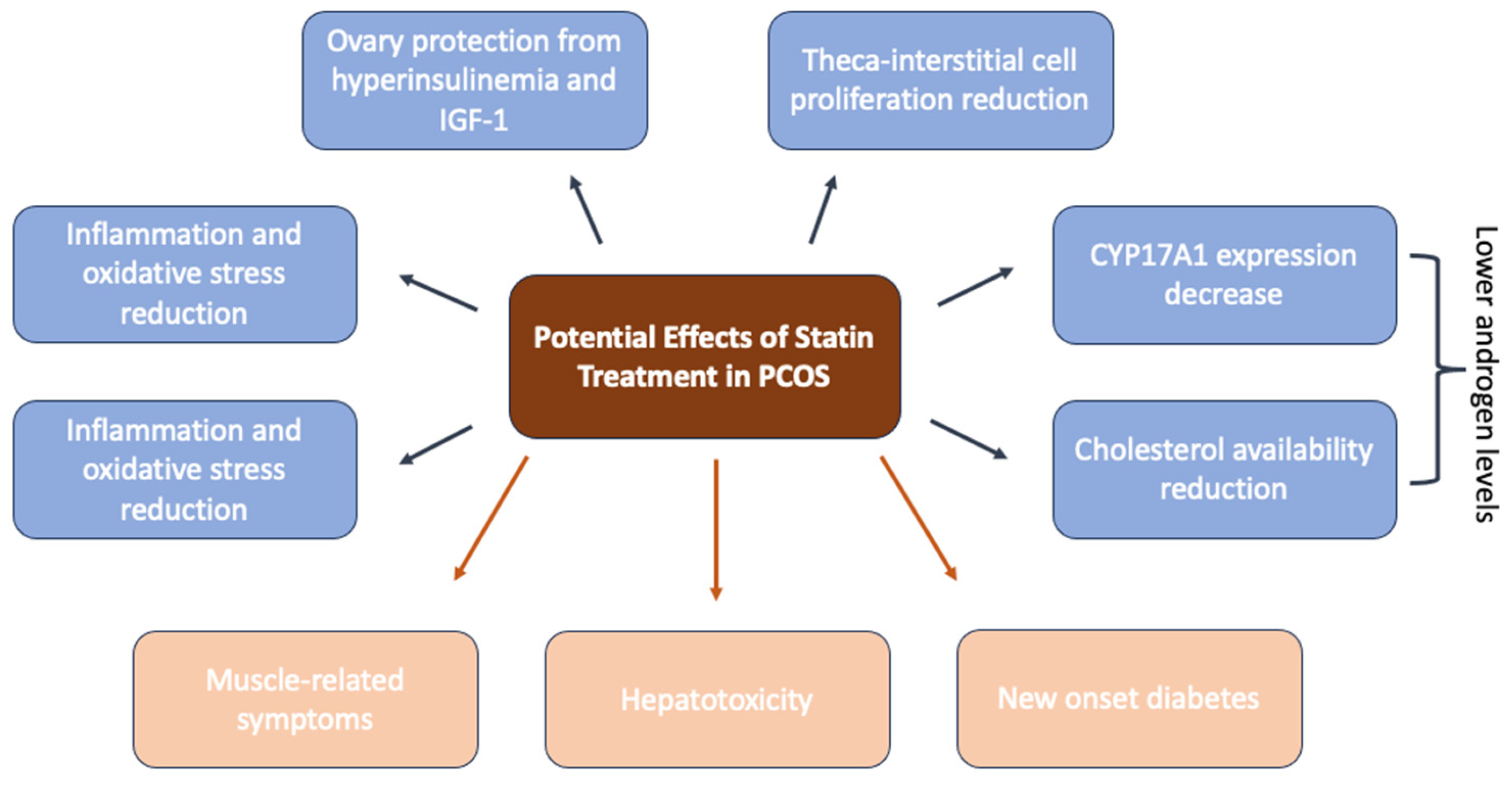 Medicina 60 00244 g003