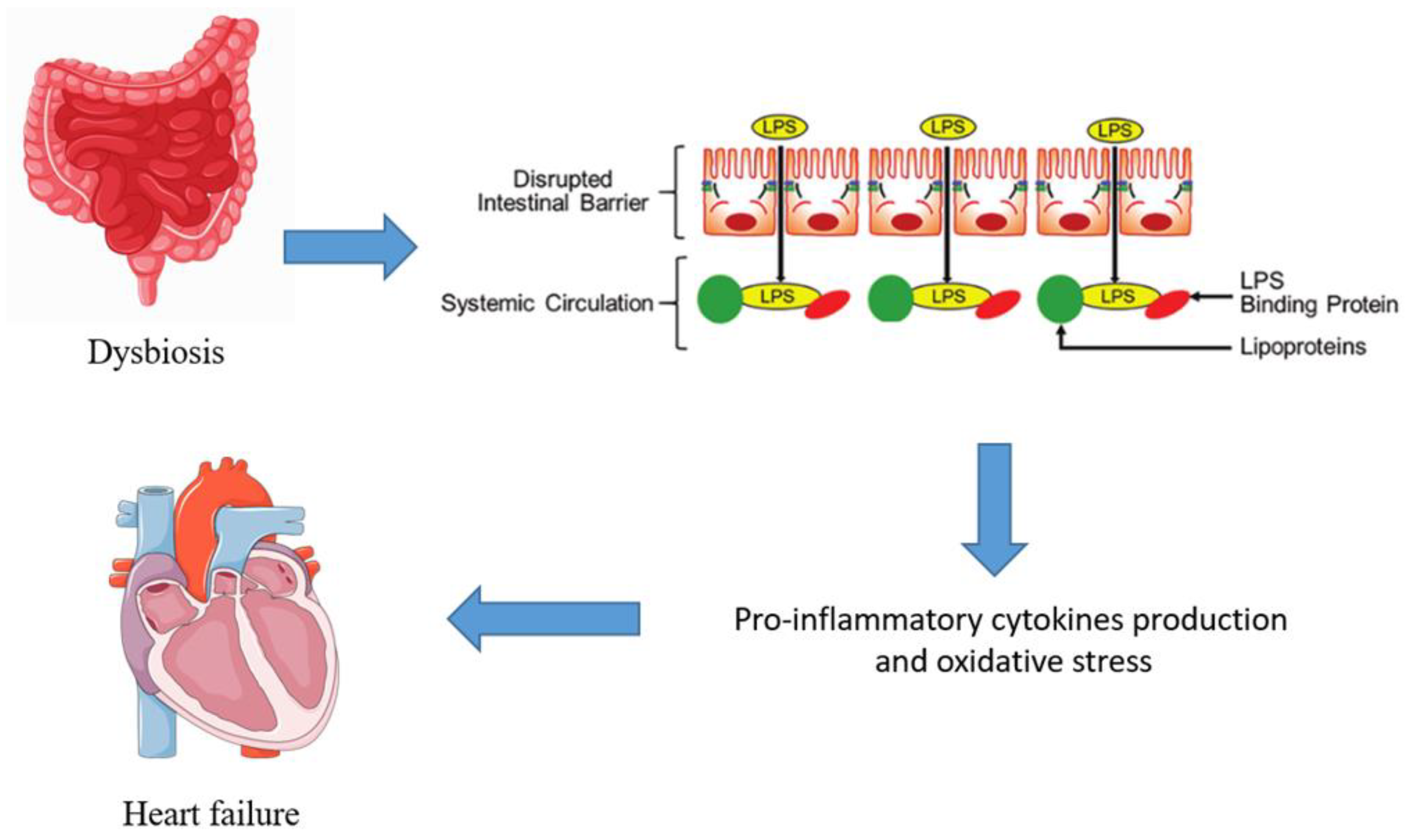 Medicina 60 00271 g001