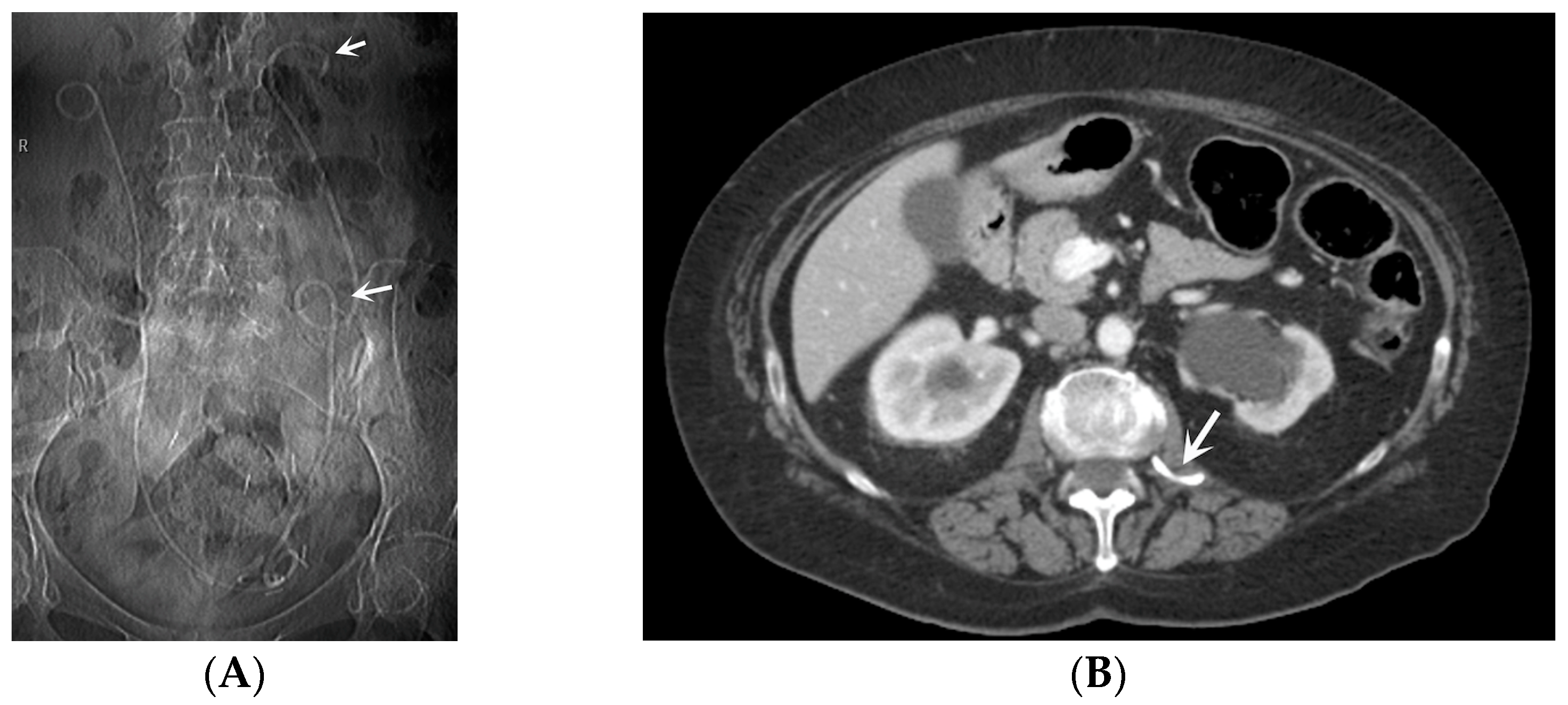 Medicina 60 00338 g007 Medicina 60 00338 g007