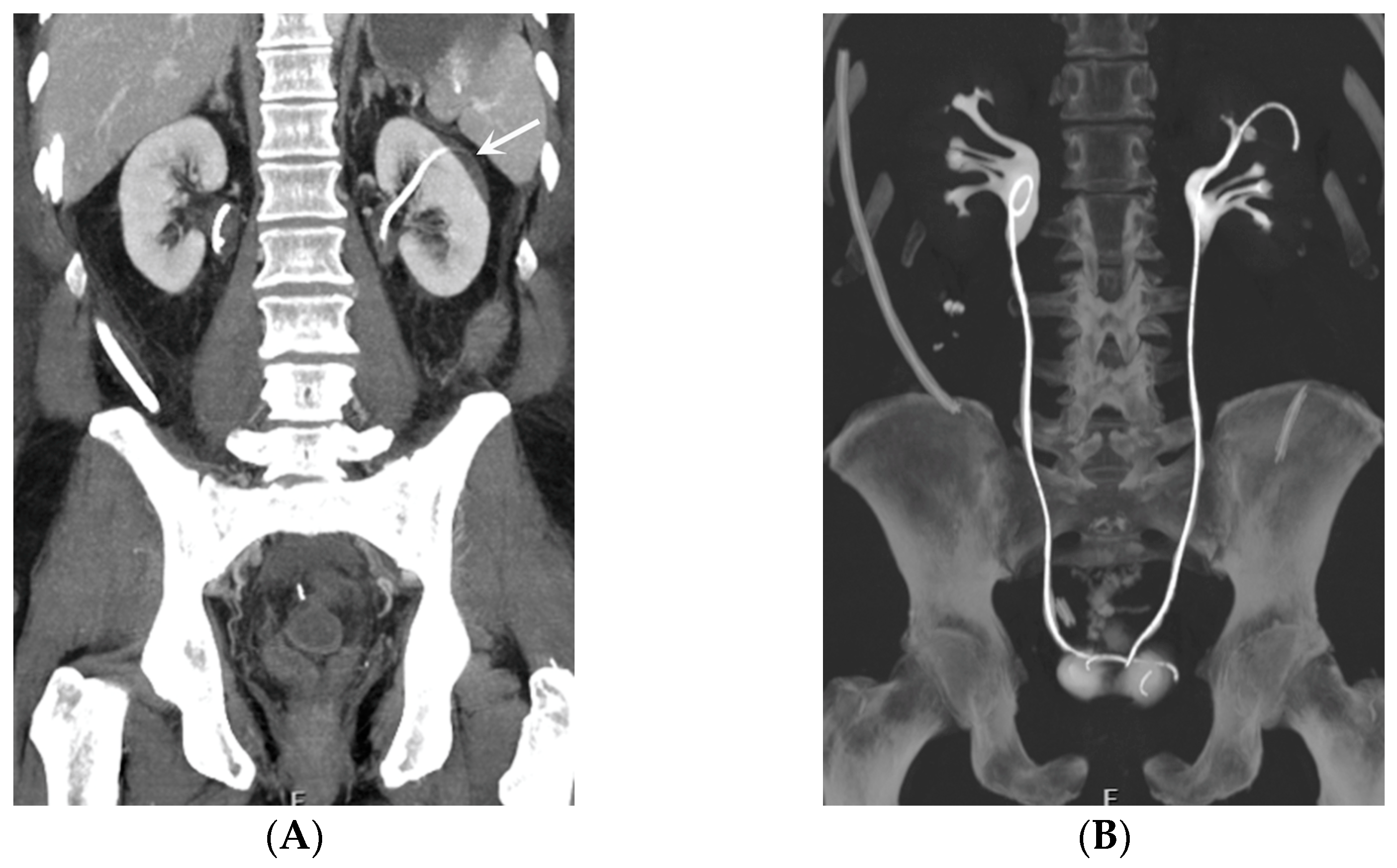 Medicina 60 00338 g010 Medicina 60 00338 g010