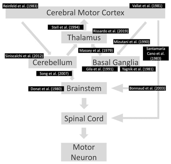 Medicina Free Full Text Flapping Tremor Unraveling