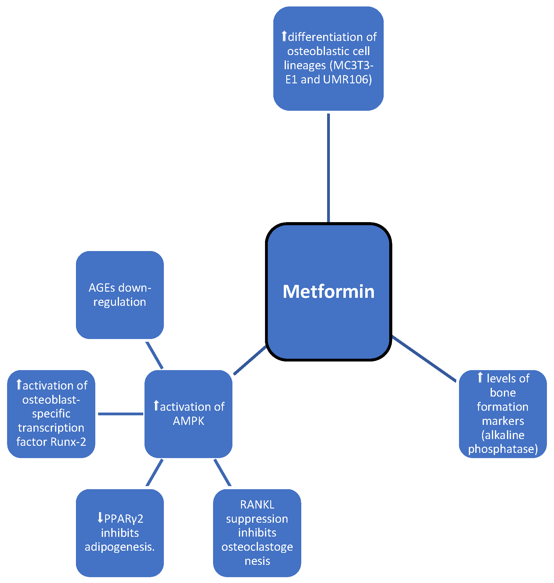Medicina 60 00393 g002 Medicina 60 00393 g002