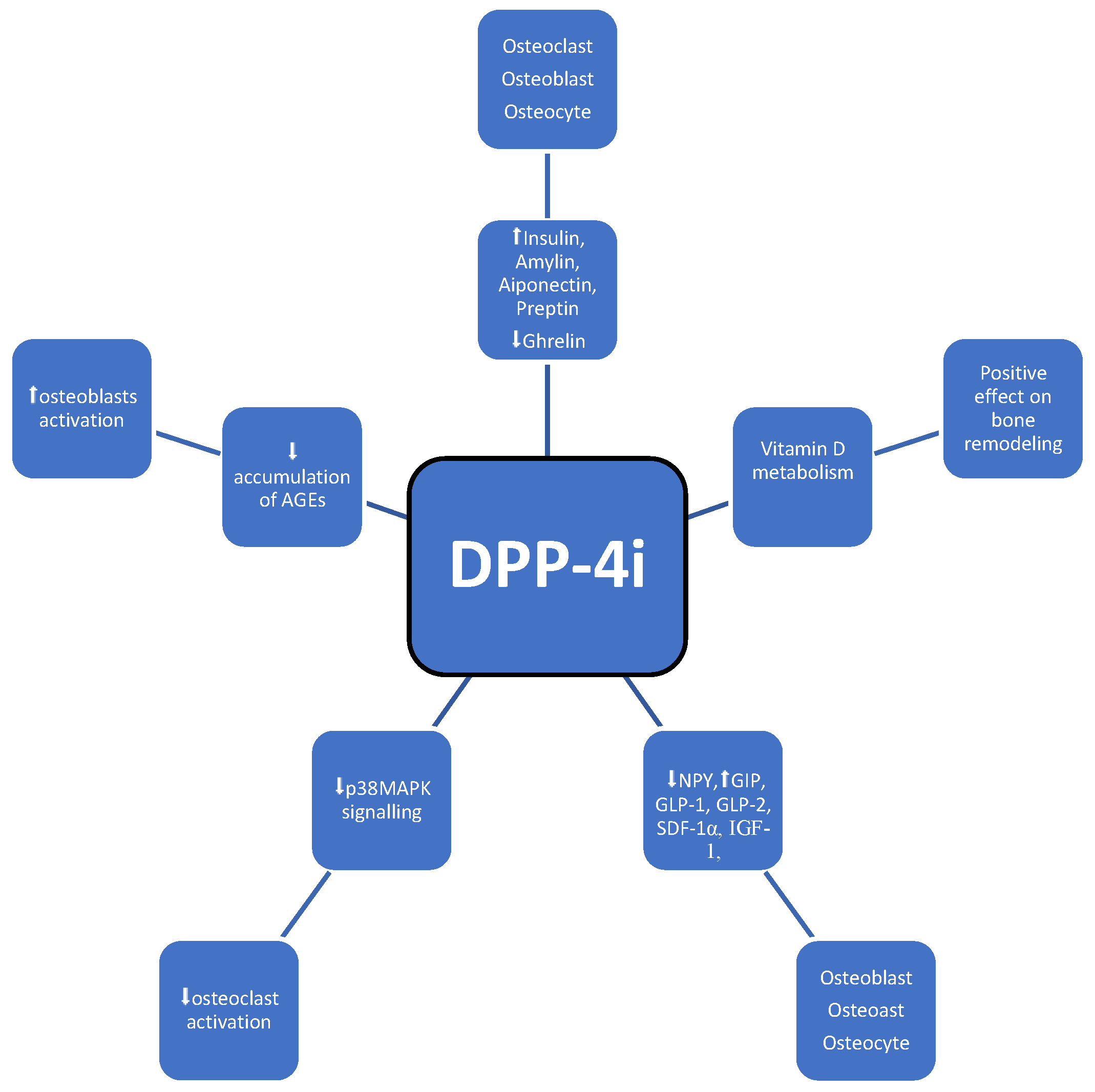 Medicina 60 00393 g005 Medicina 60 00393 g005