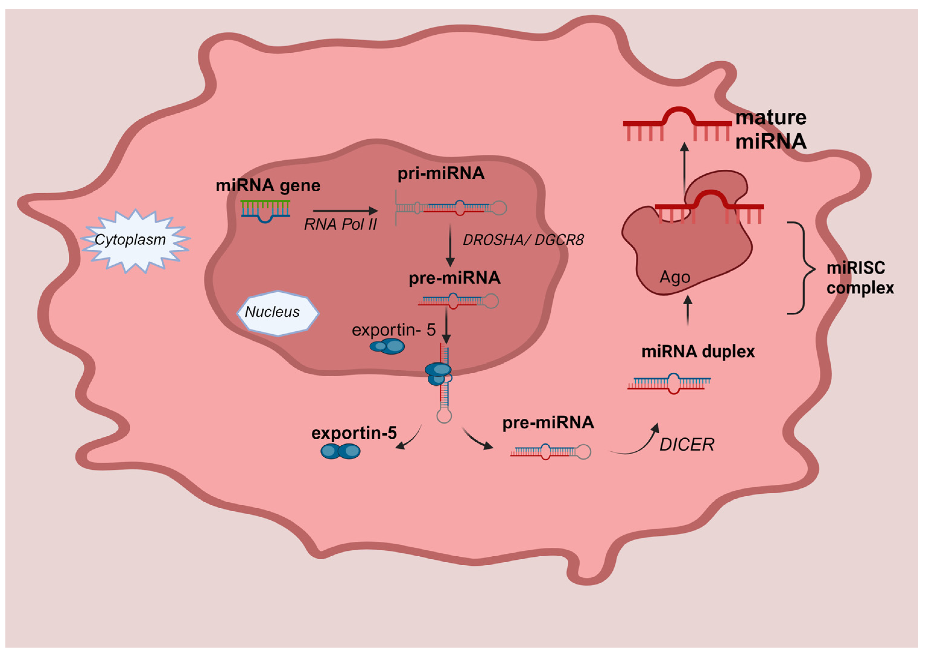 Medicina 60 00397 g001 Medicina 60 00397 g001
