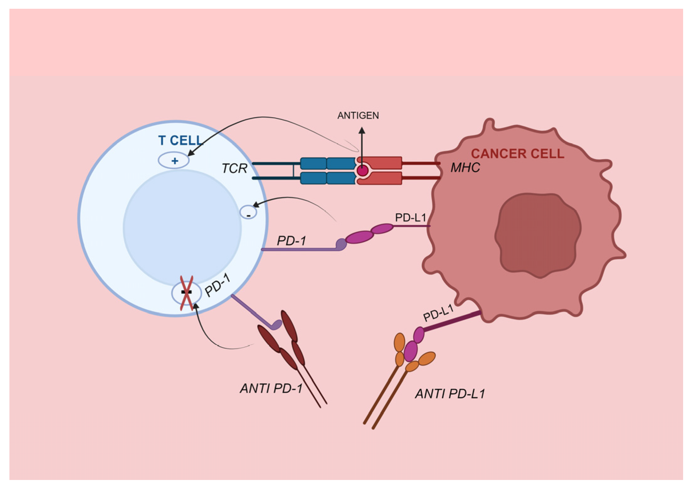 Medicina 60 00397 g004 Medicina 60 00397 g004