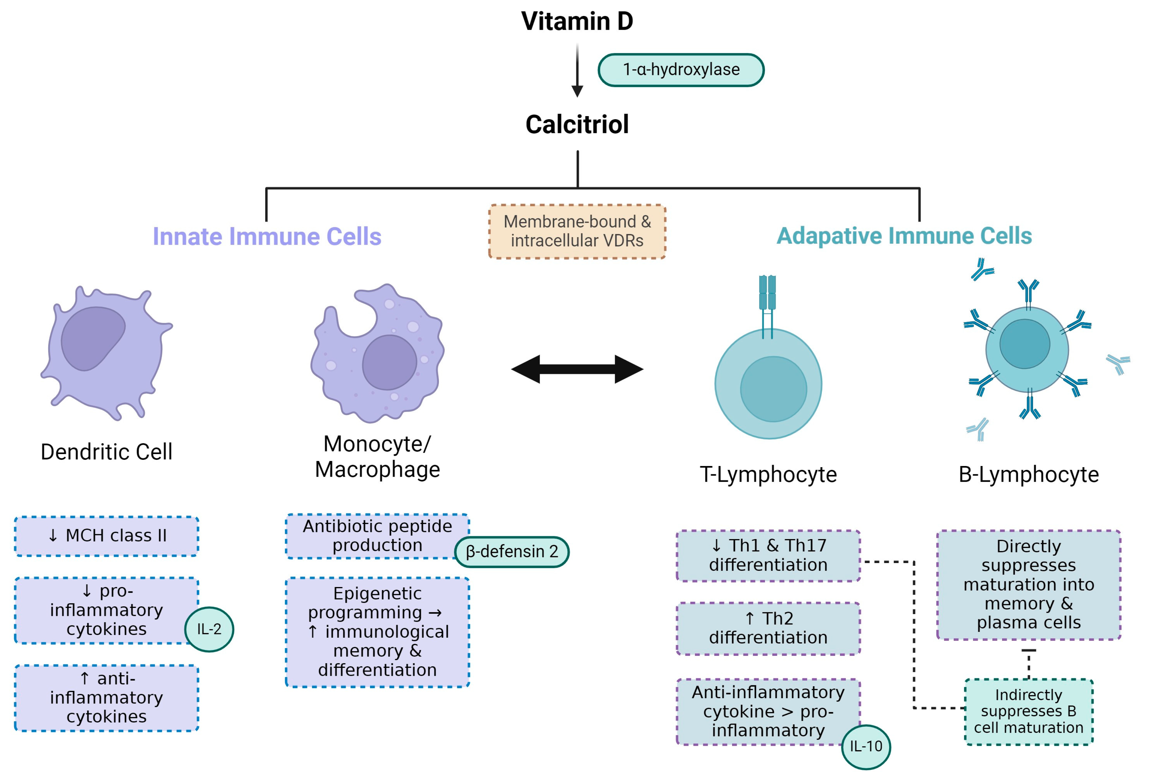 Medicina 60 00420 g003