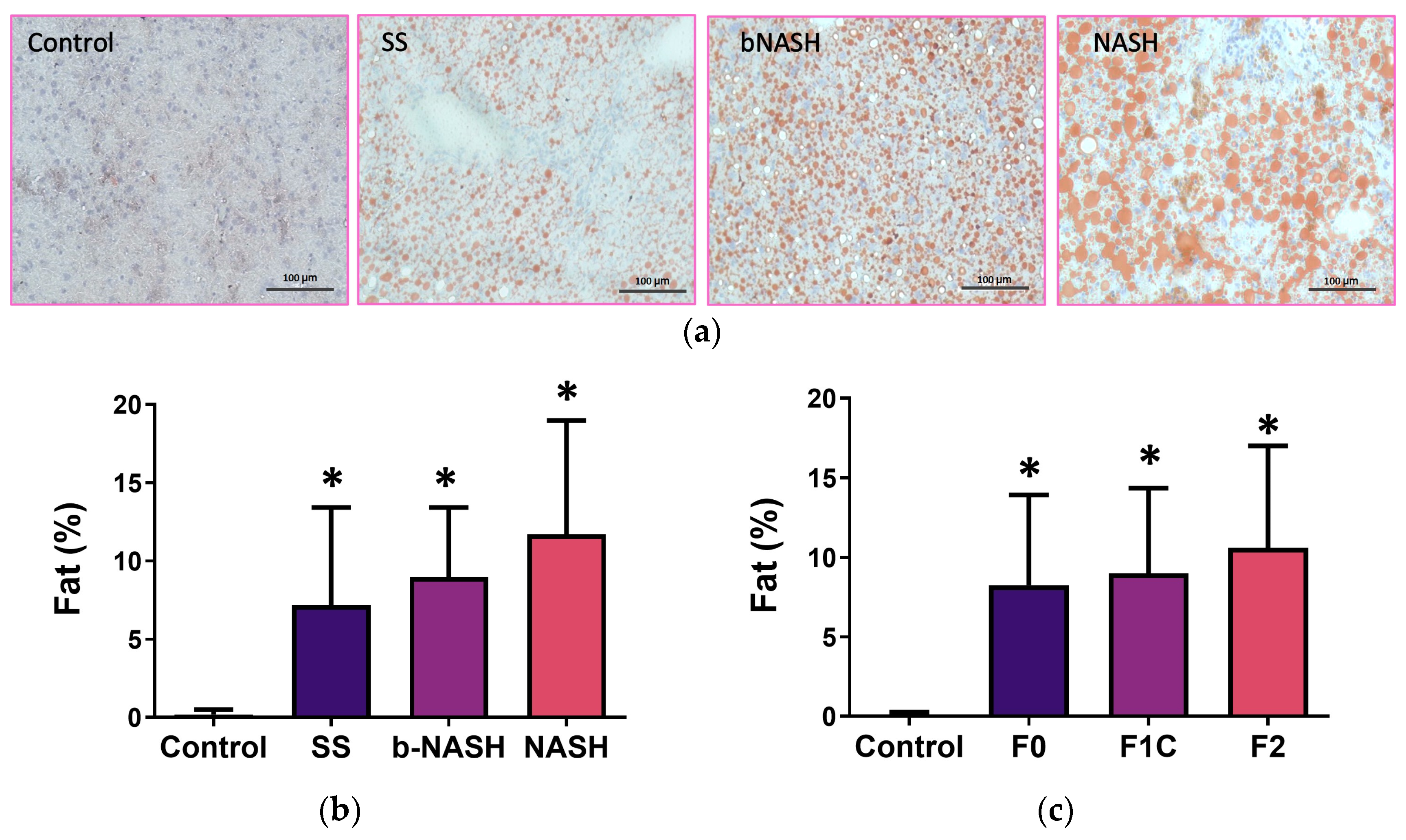 Medicina 60 00429 g002