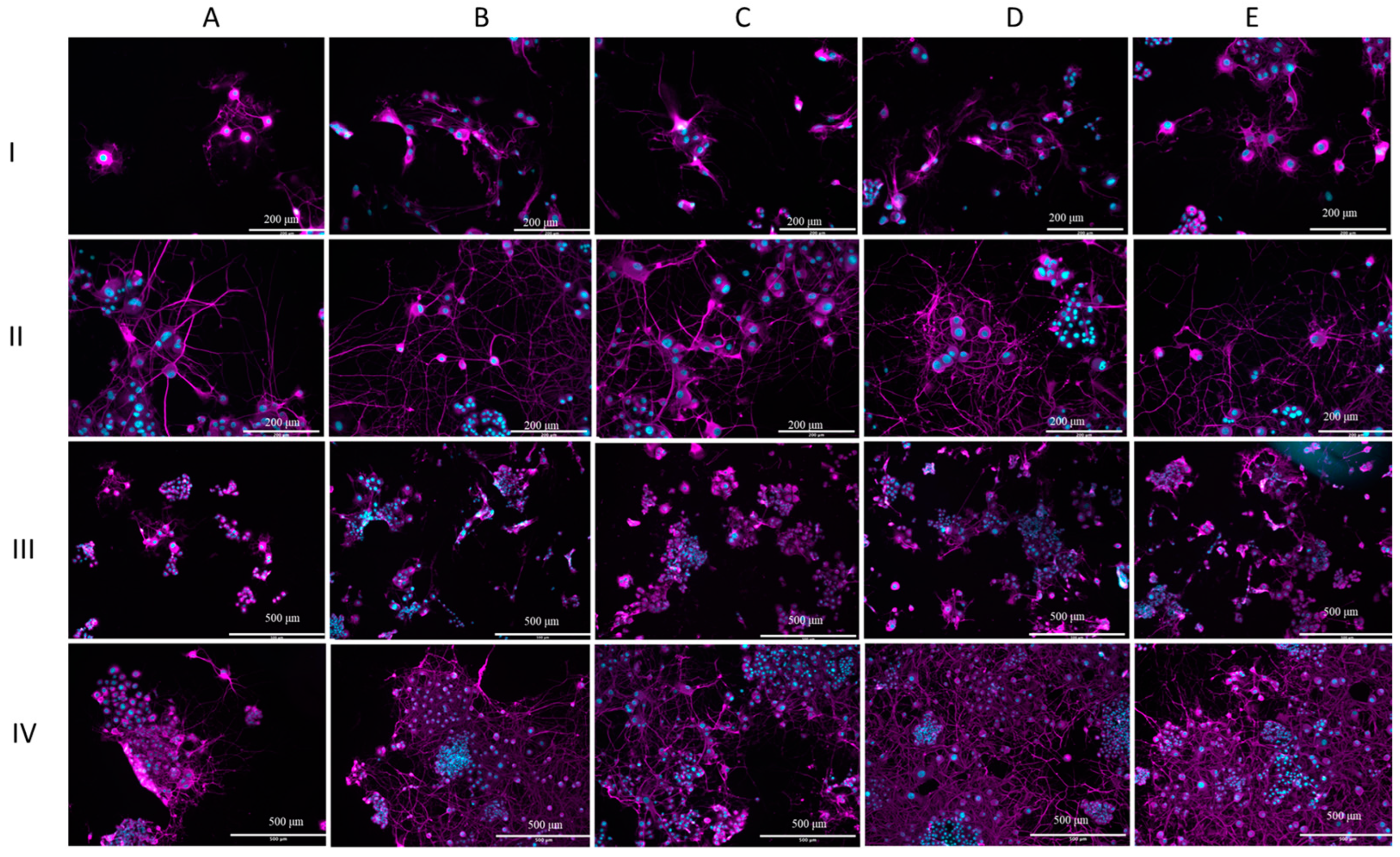 Medicina 60 00440 g005