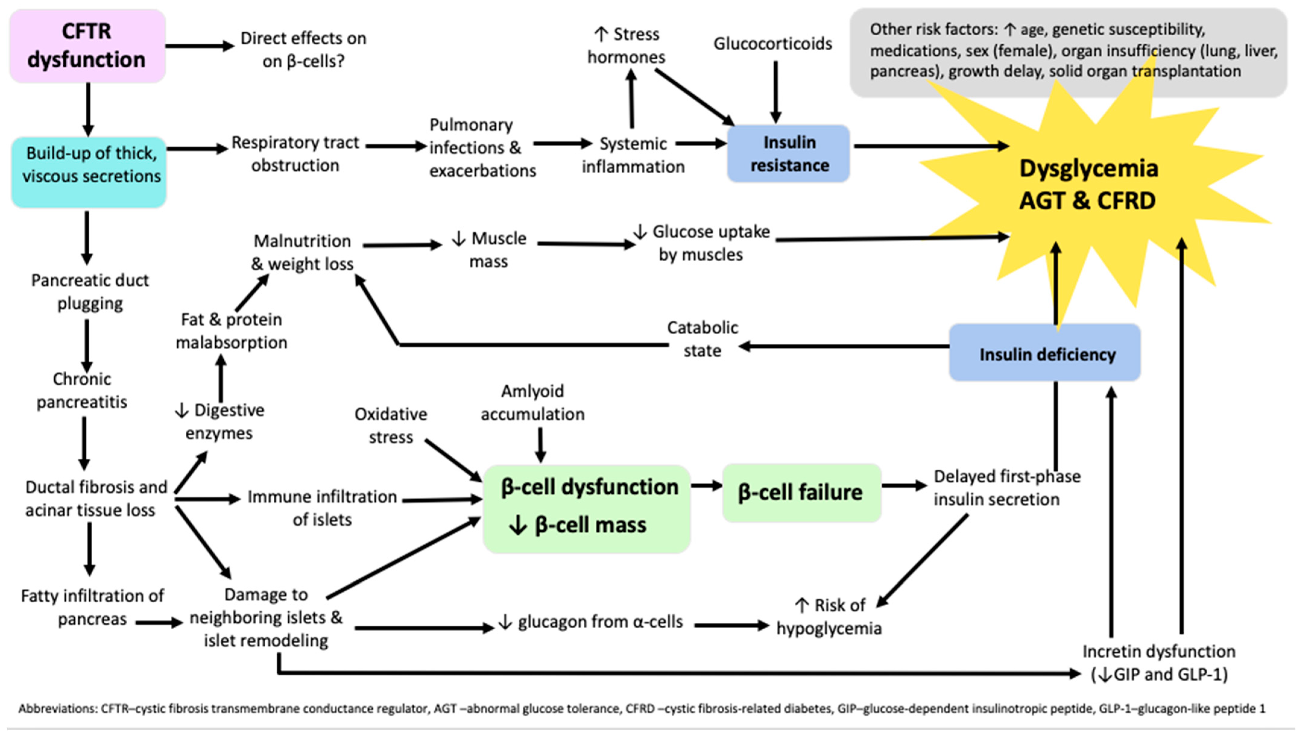 Medicina 60 00477 g001 Medicina 60 00477 g001