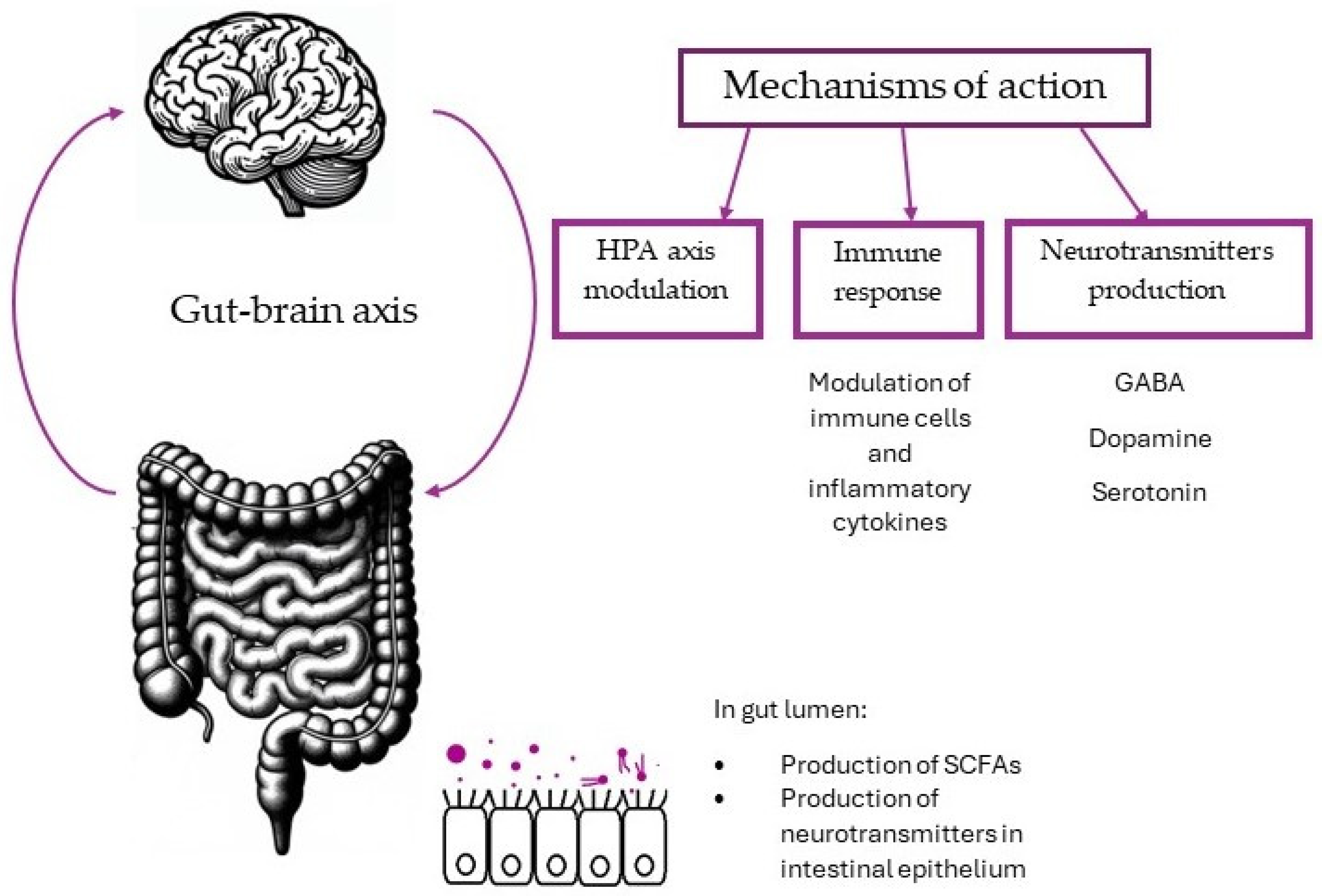 Medicina 60 00601 g001