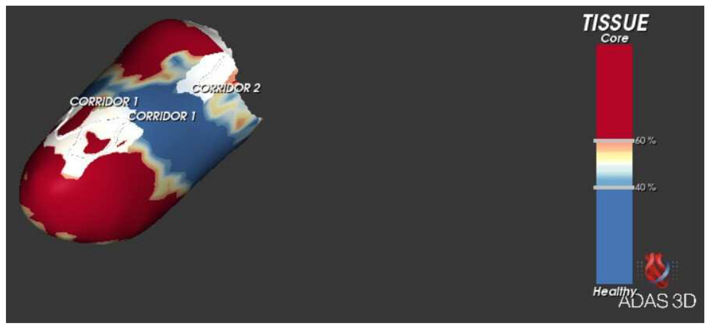 Medicina 60 00613 g002