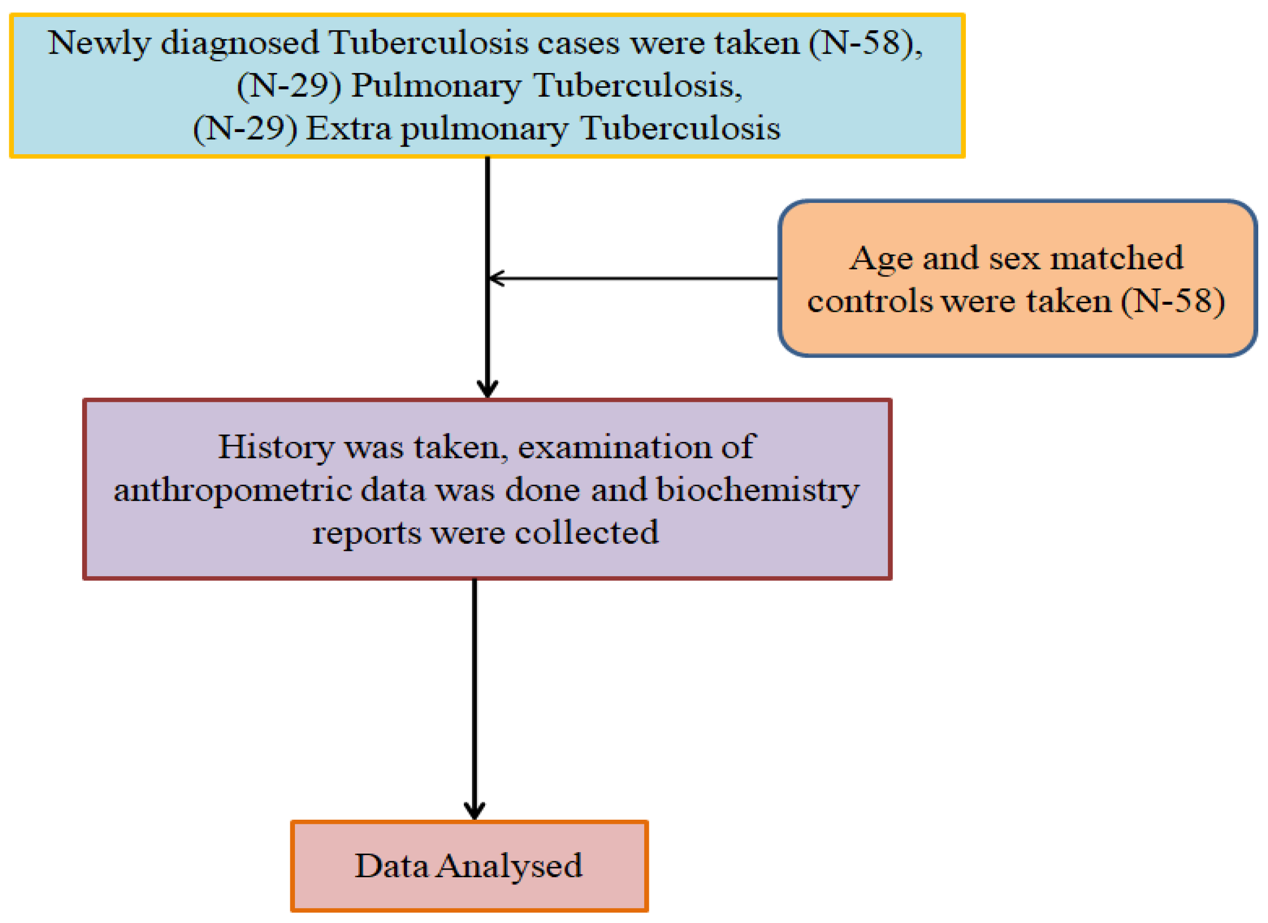 Medicina 60 00685 g001 Medicina 60 00685 g001