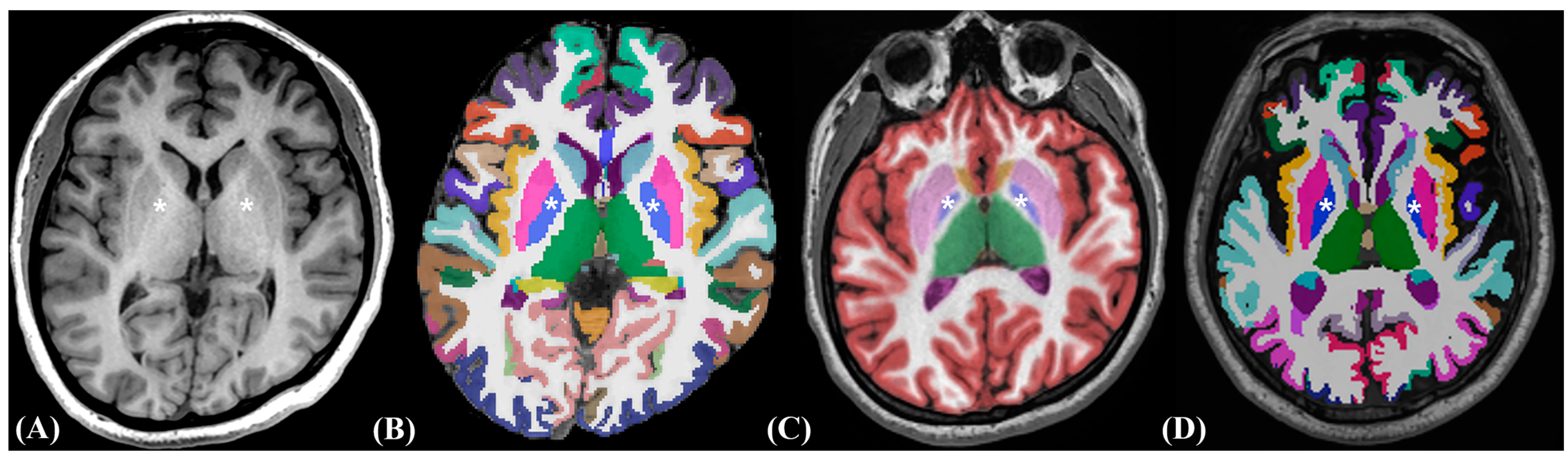 Medicina 60 00727 g001