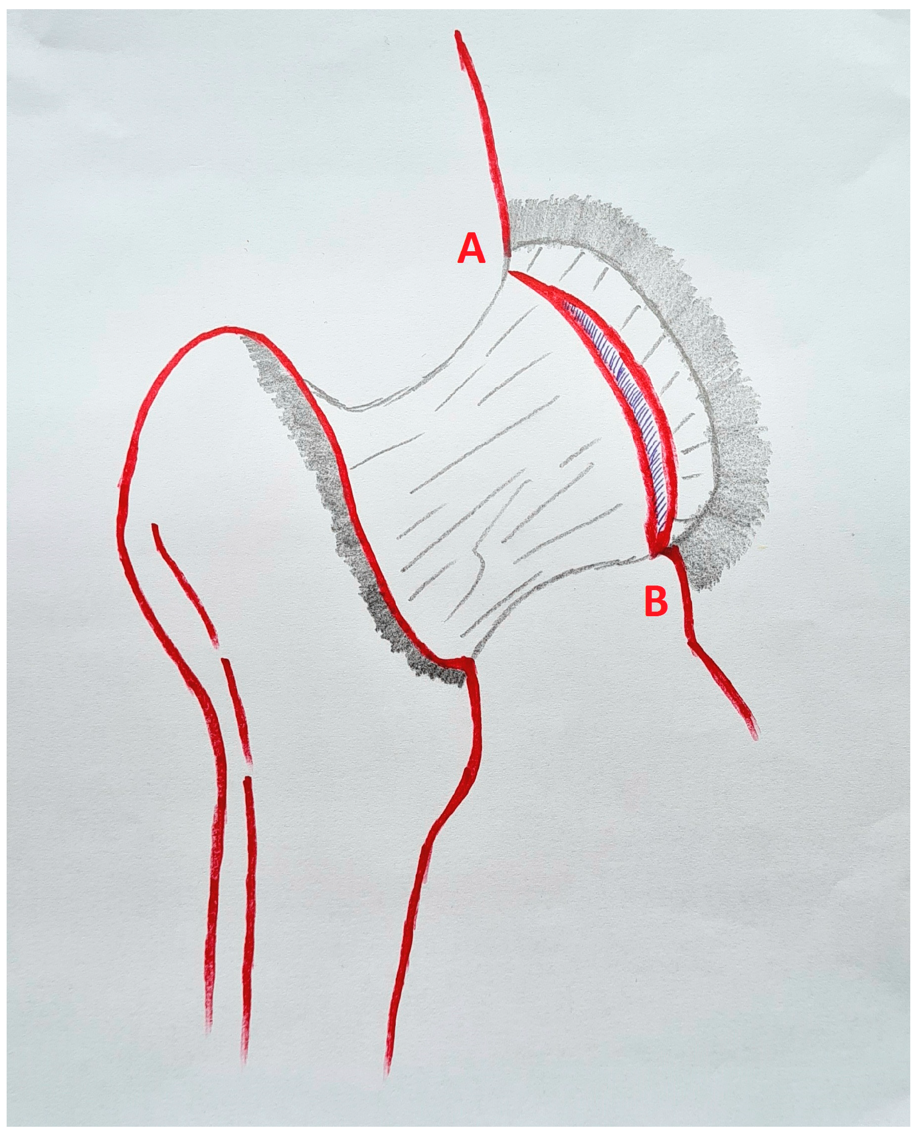 Medicina 60 00738 g001