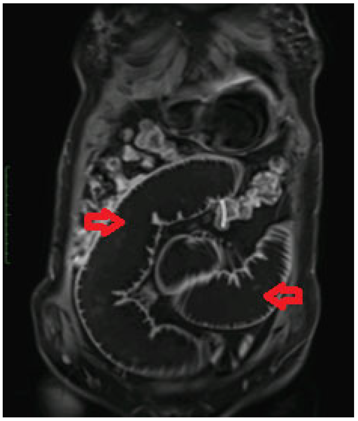 Medicina 60 00847 g001 Medicina 60 00847 g001