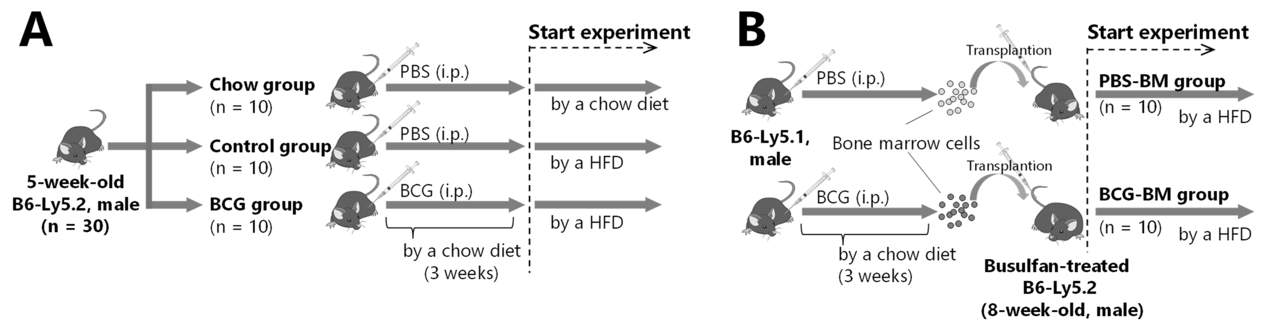 Medicina 60 00866 g001