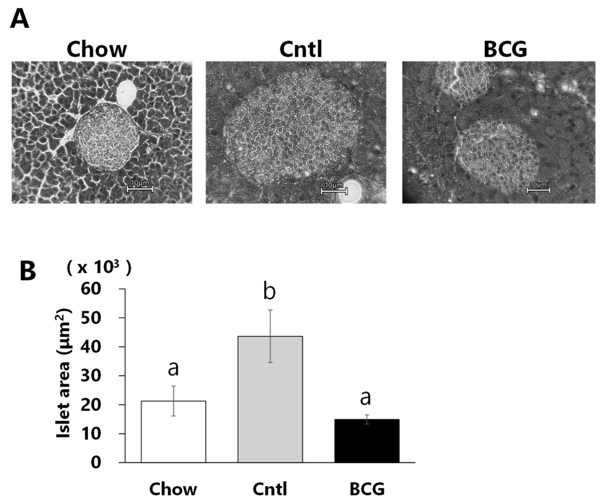 Medicina 60 00866 g004