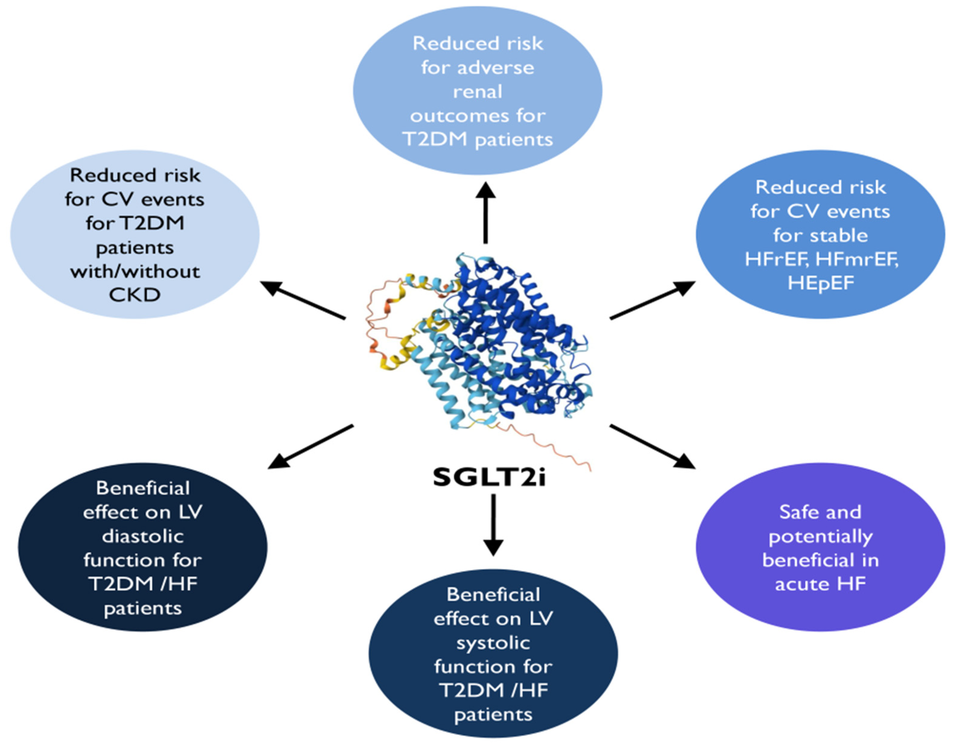 Medicina 60 00912 g004