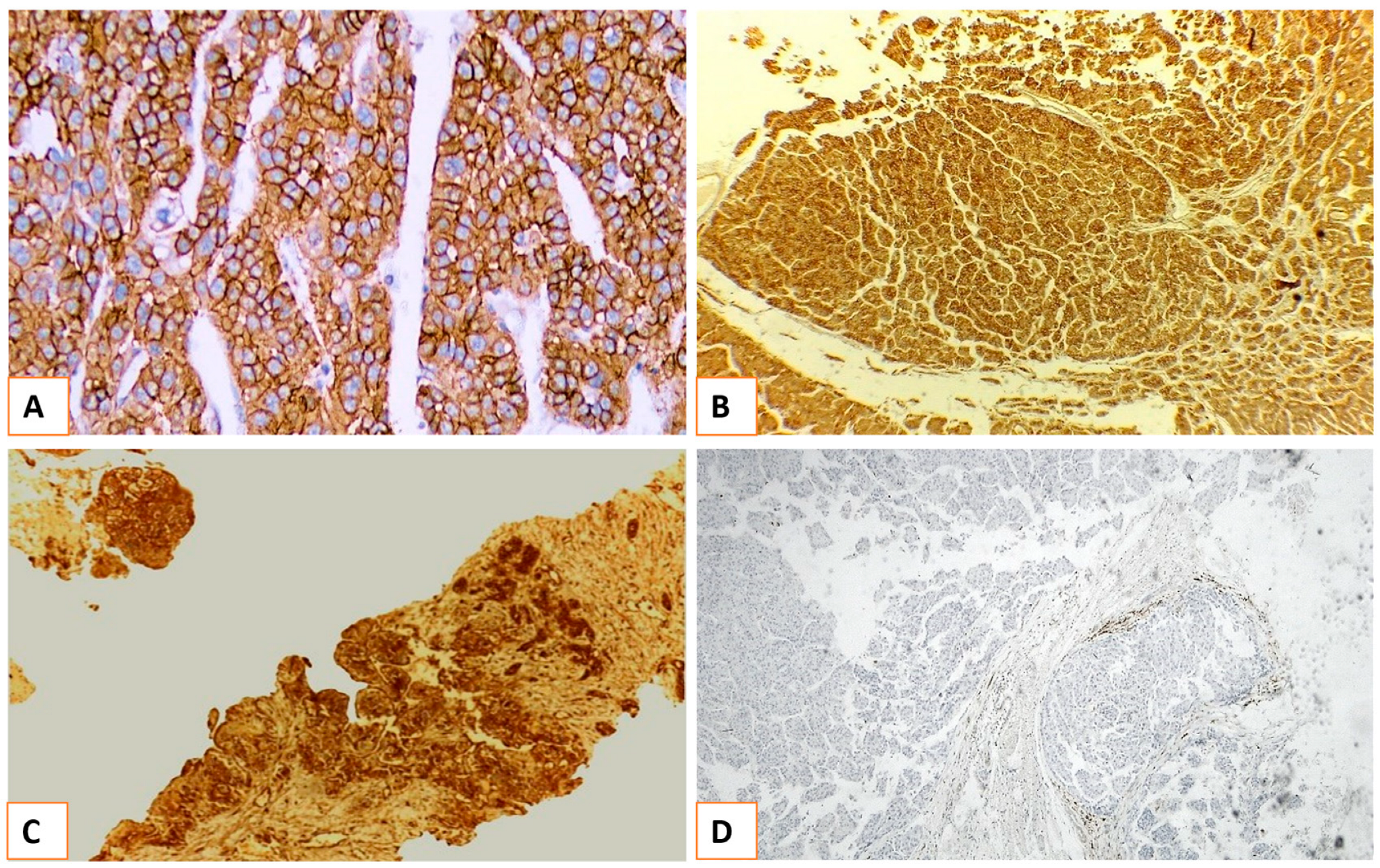 Medicina 60 00915 g002 Medicina 60 00915 g002