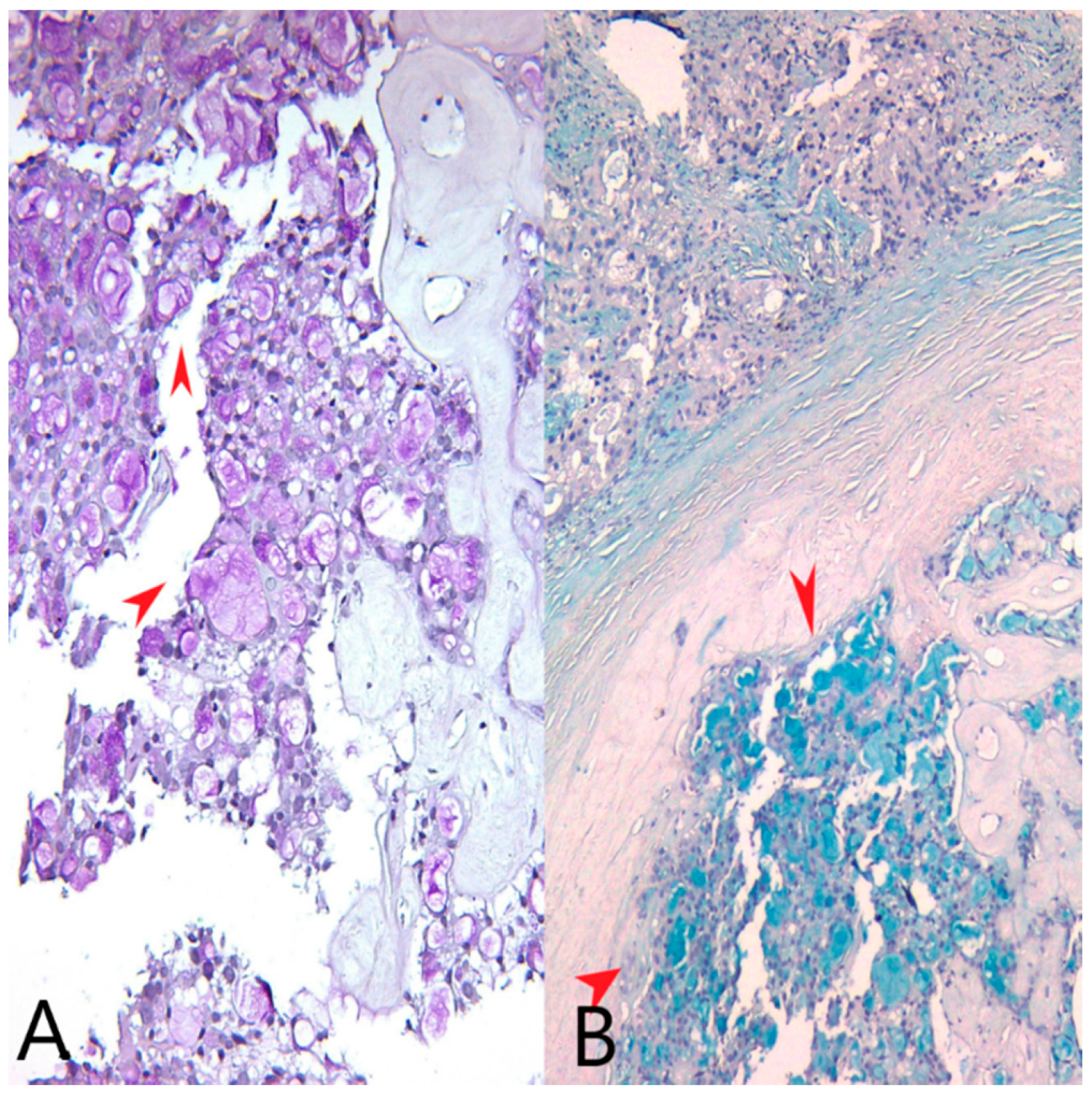 Medicina 60 00924 g002