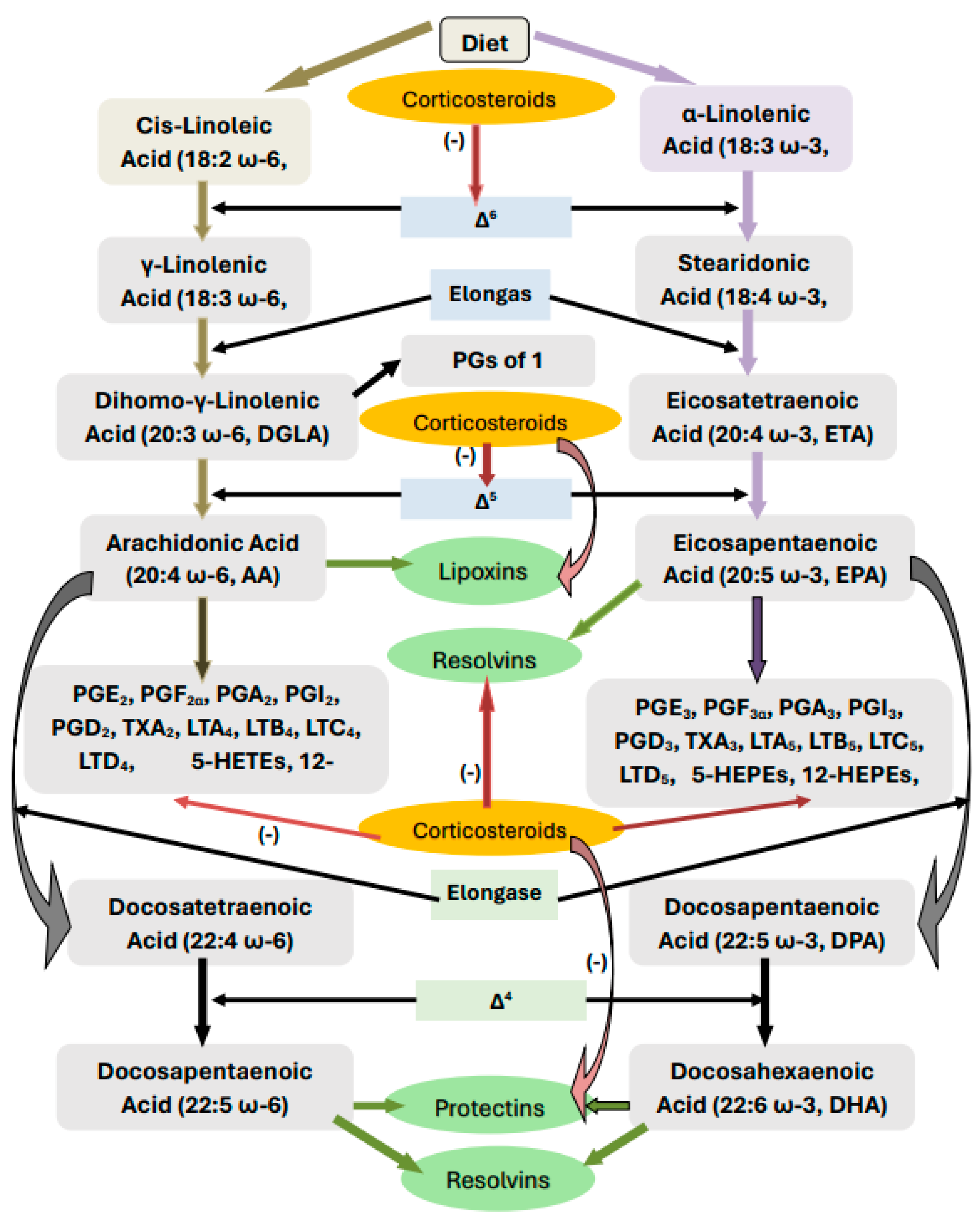 Medicina 60 00934 g001