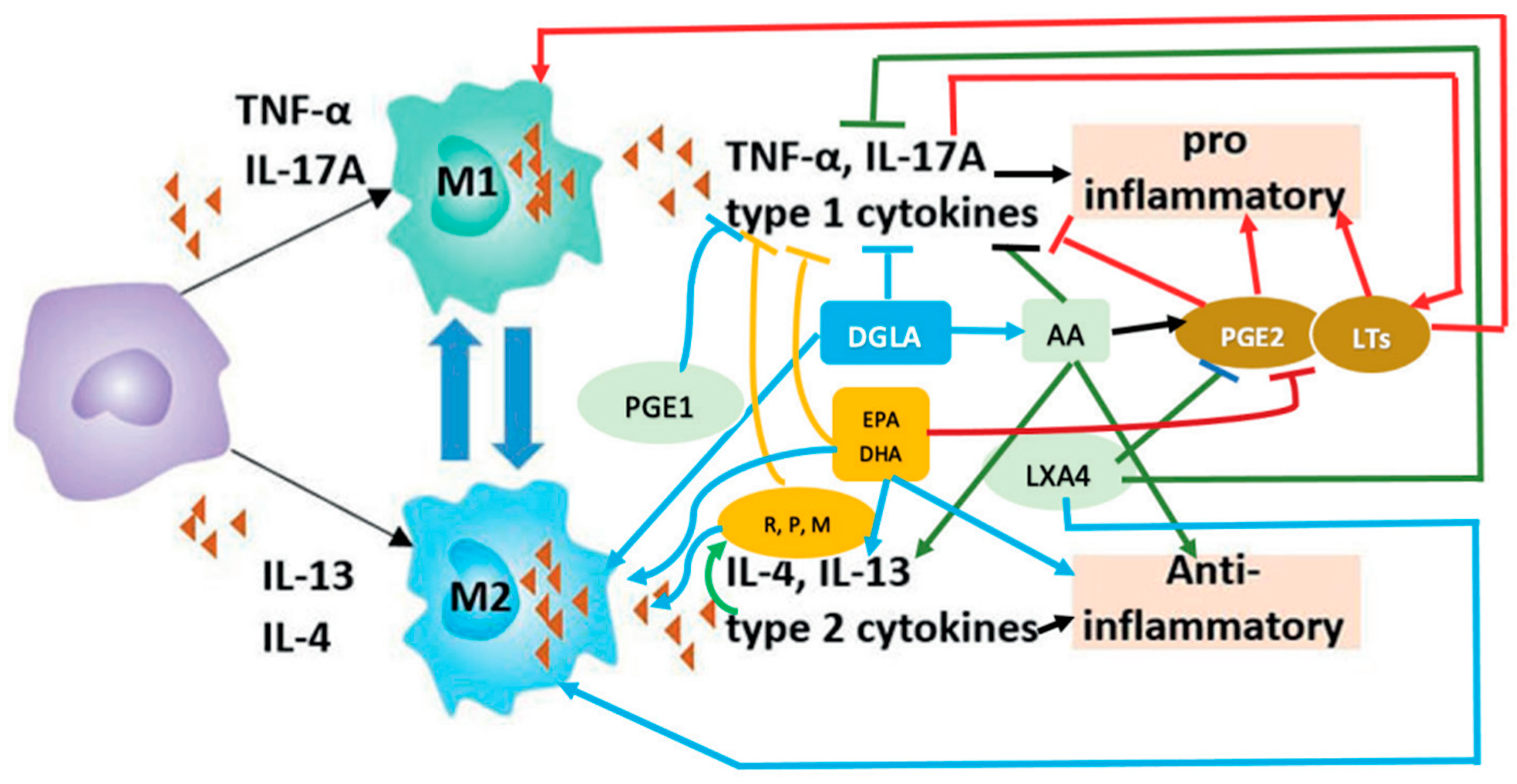 Medicina 60 00934 g003