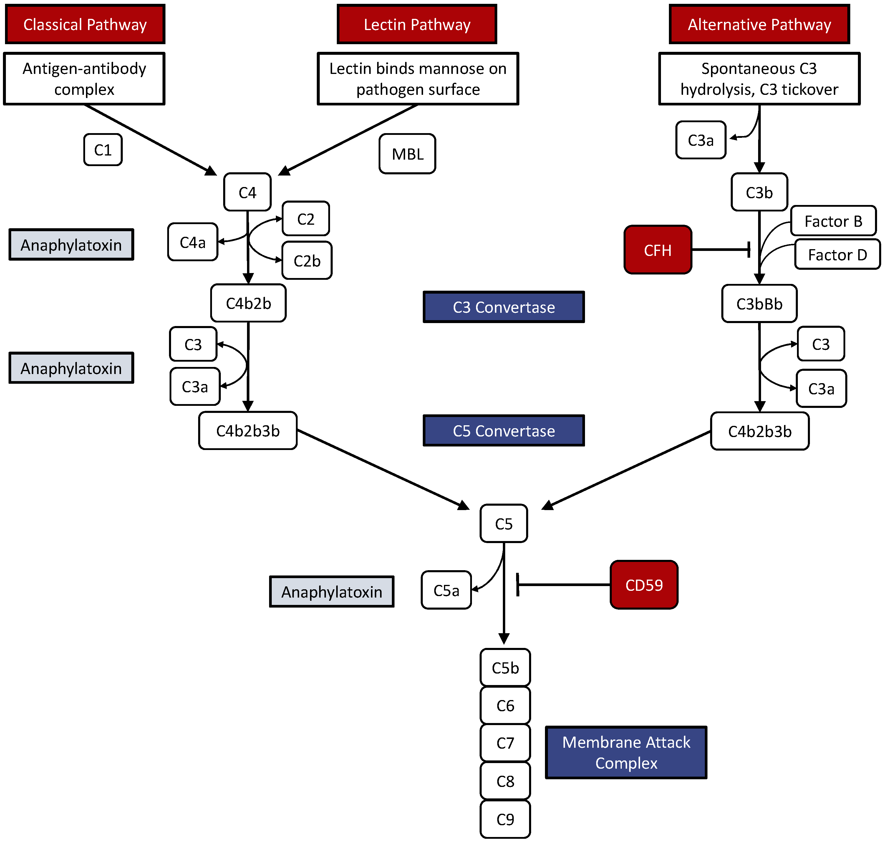 Medicina 60 00945 g001
