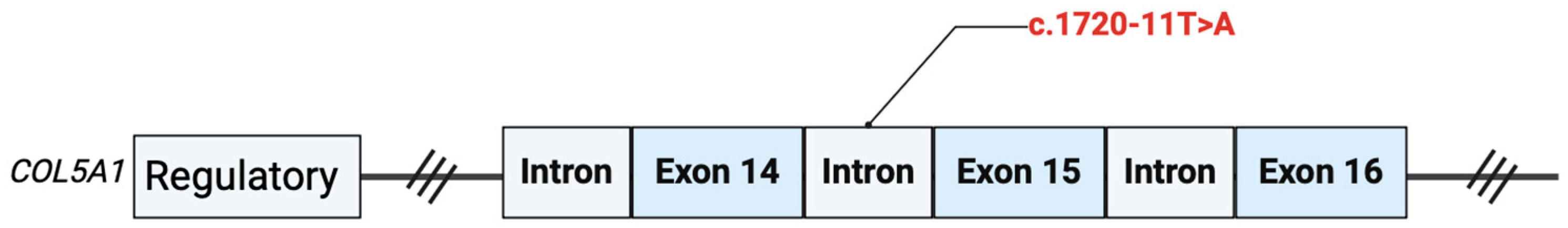 Medicina 60 00974 g001