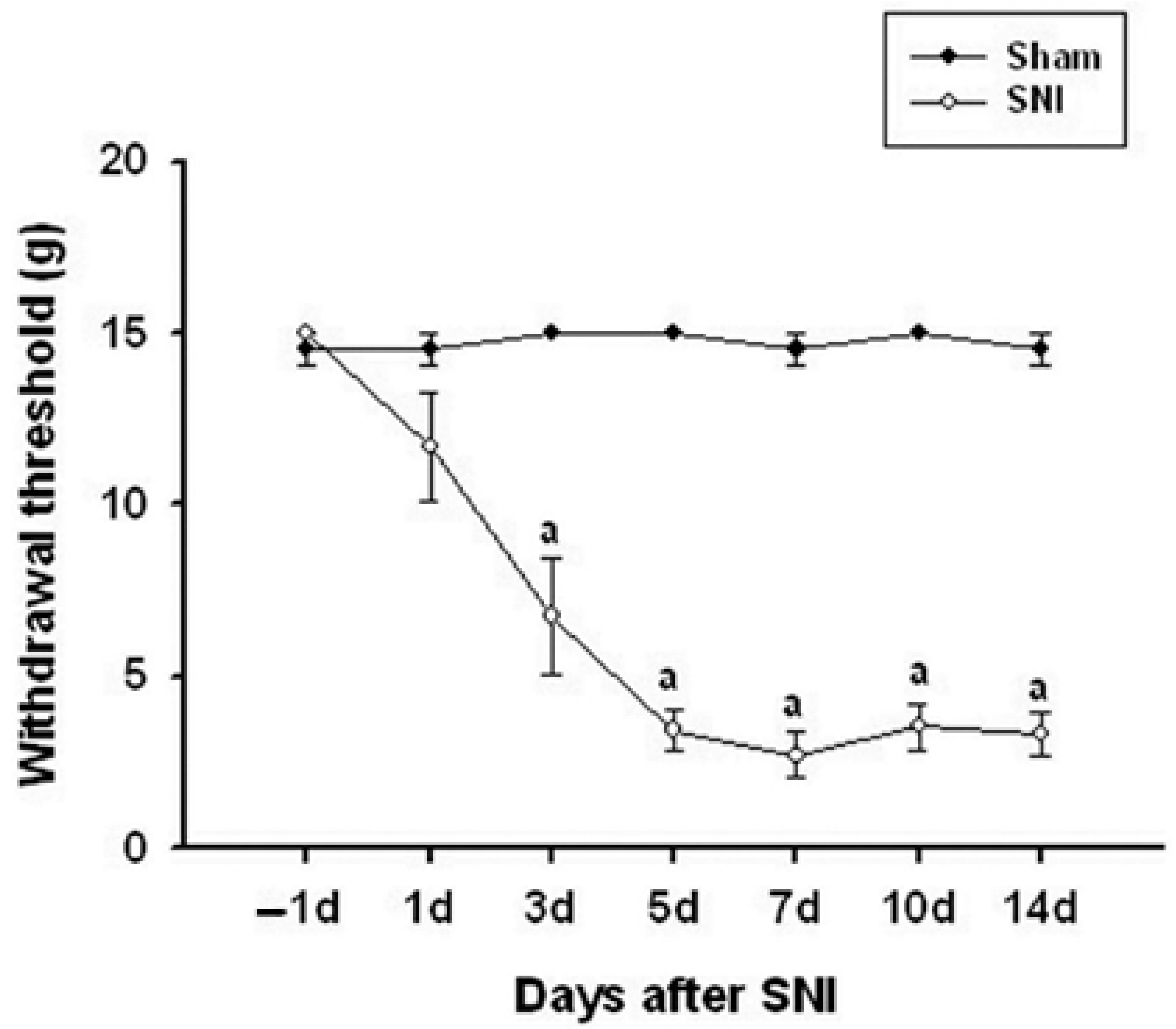 Medicina 60 00989 g001