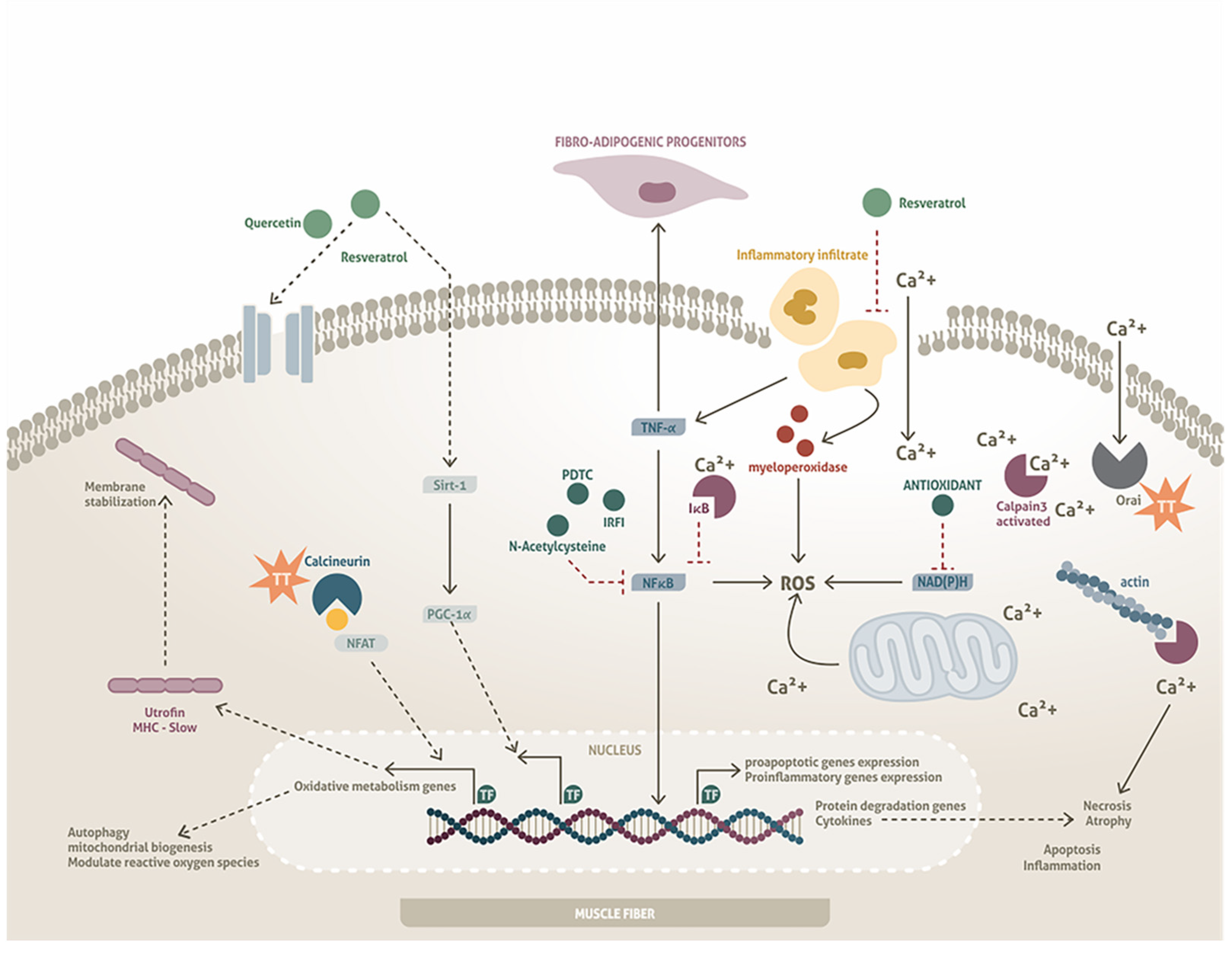 Medicina 60 01060 g003 Medicina 60 01060 g003