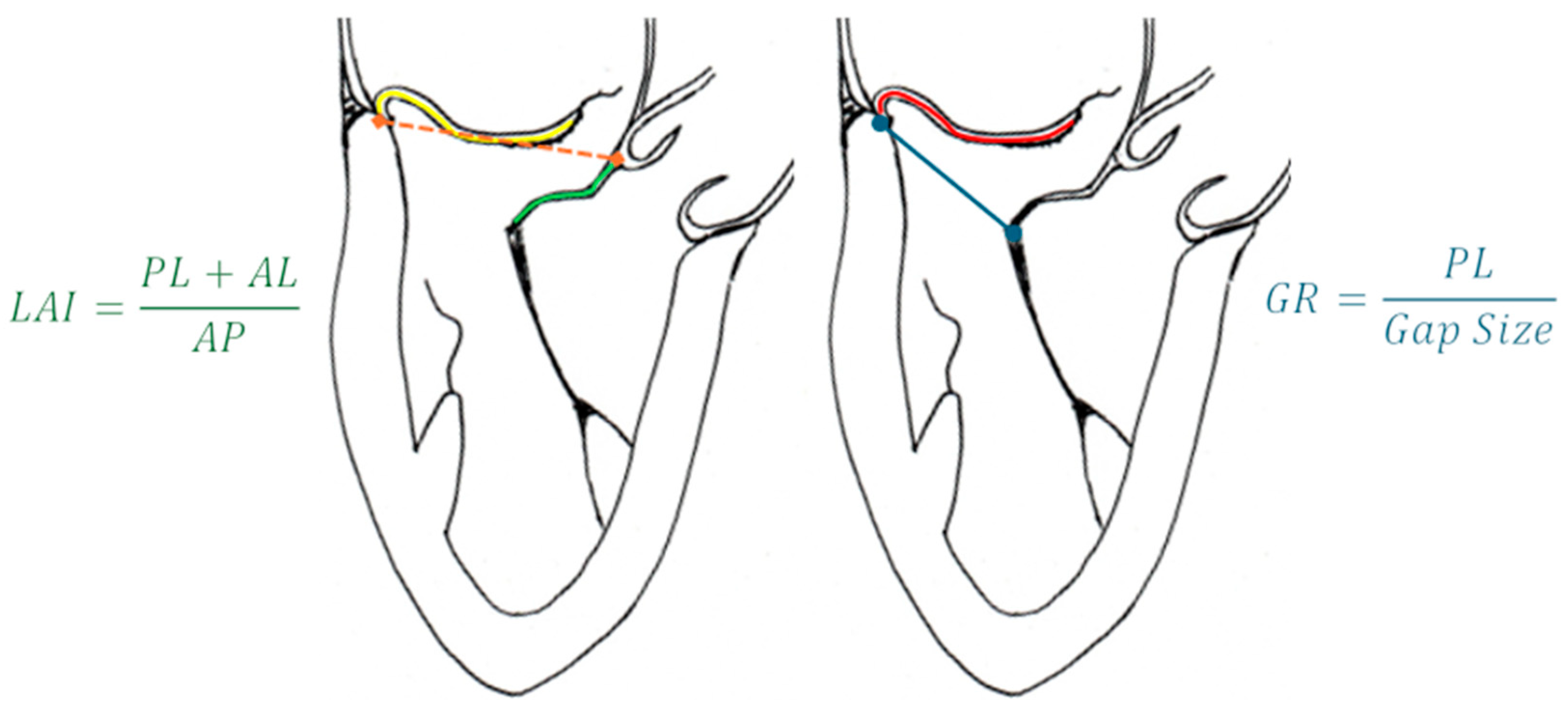 Medicina 60 01082 g007 Medicina 60 01082 g007